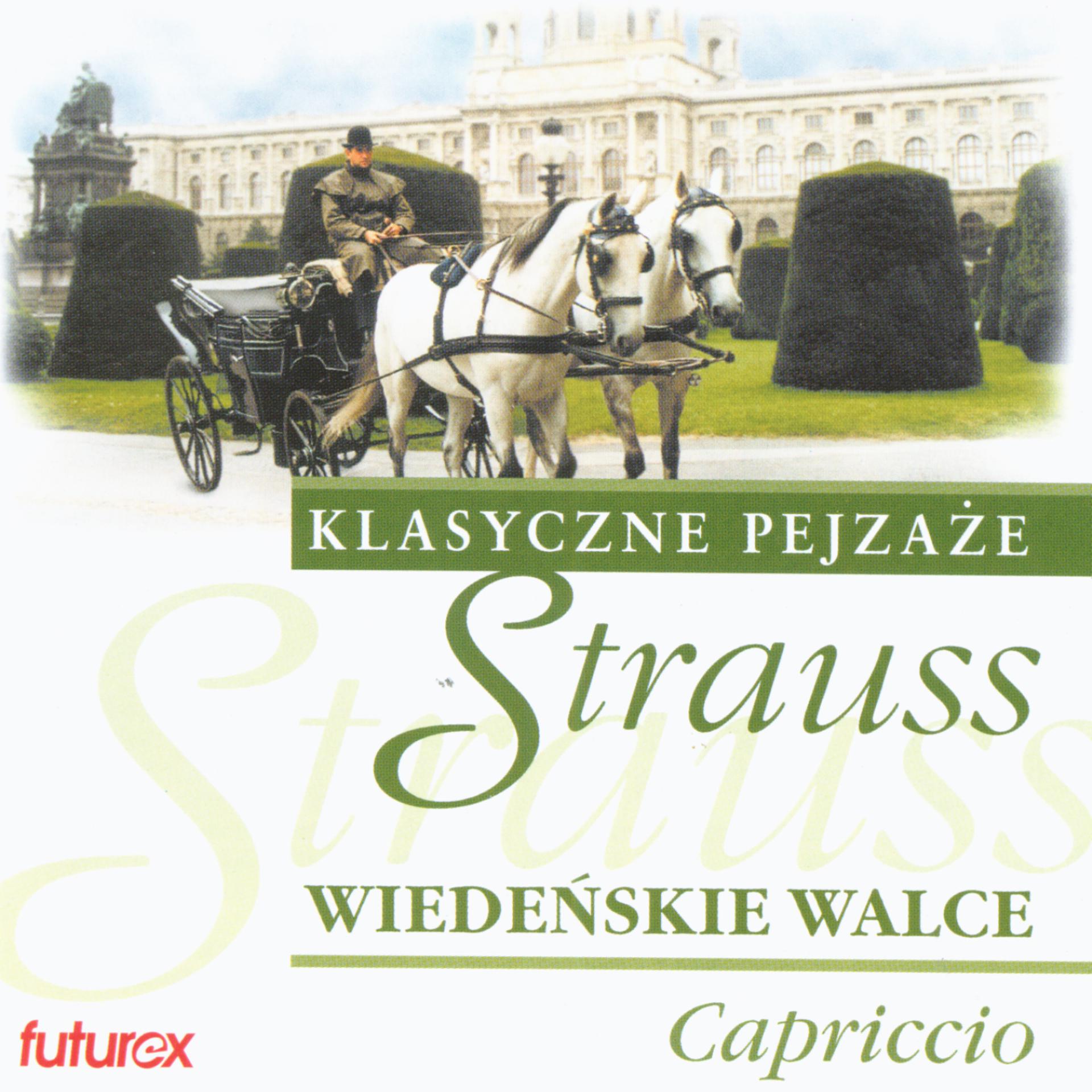 Постер альбома Johann Strauss and Vienna Rollers