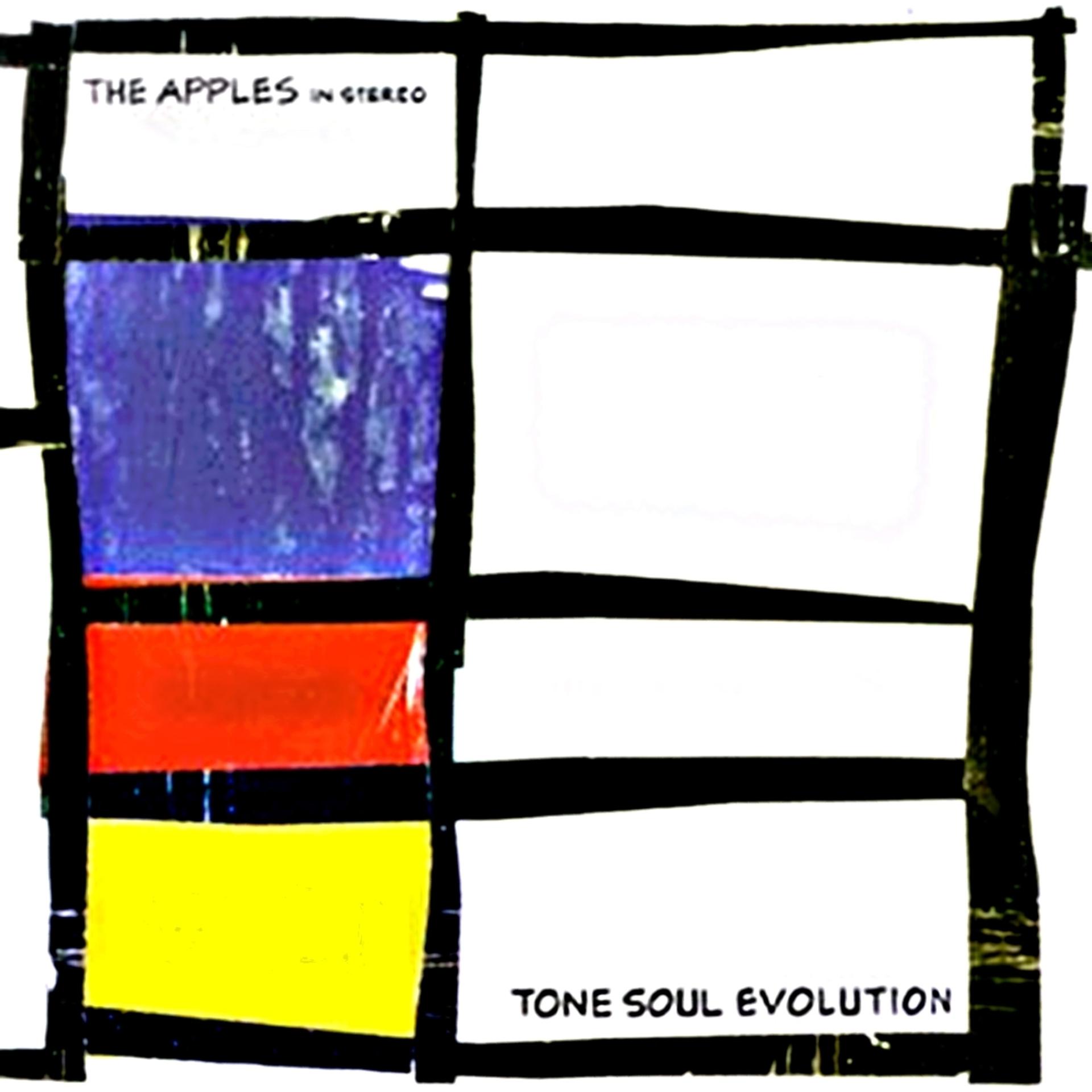 Постер альбома Tone Soul Evolution