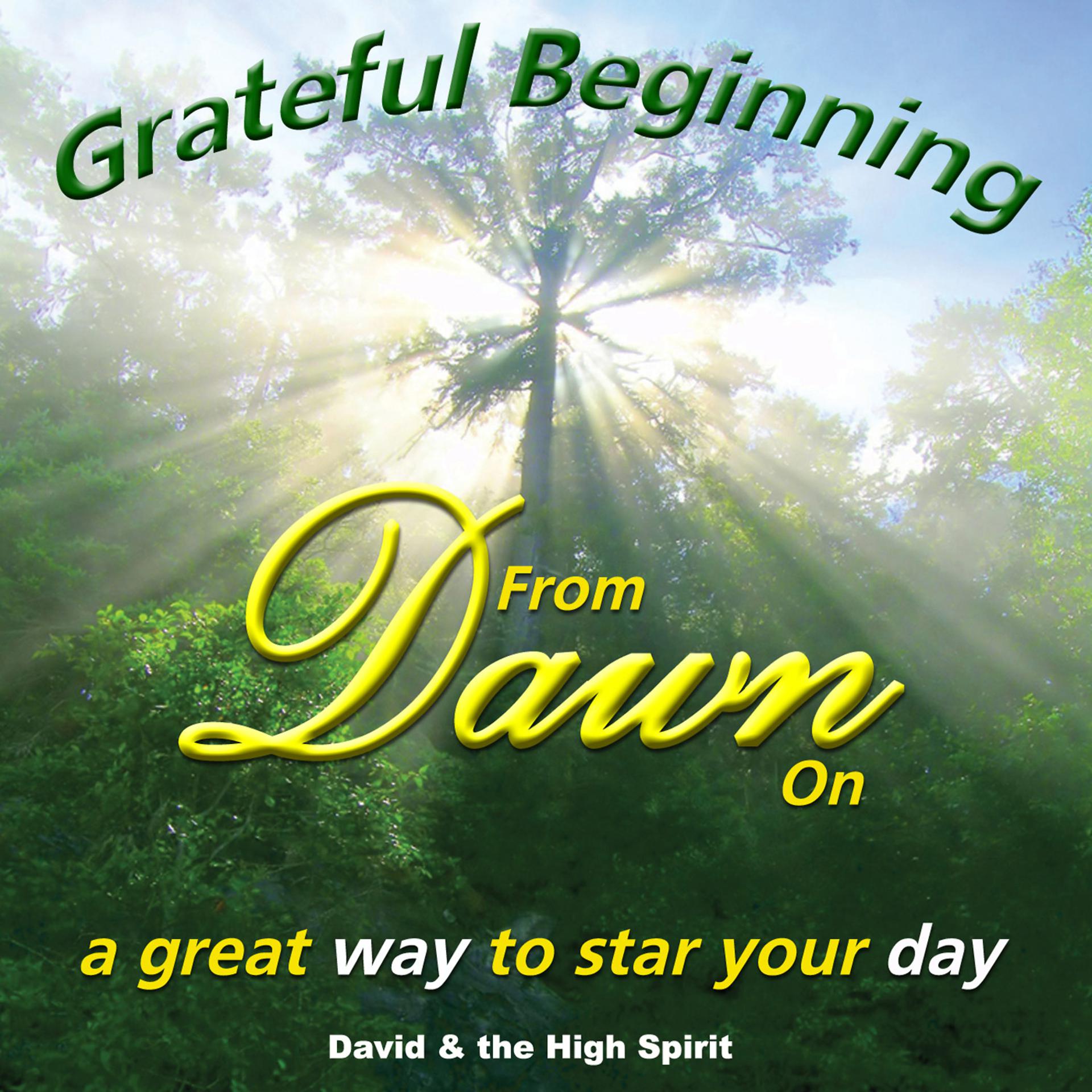 Постер альбома Gratefull Beginning from Dawn