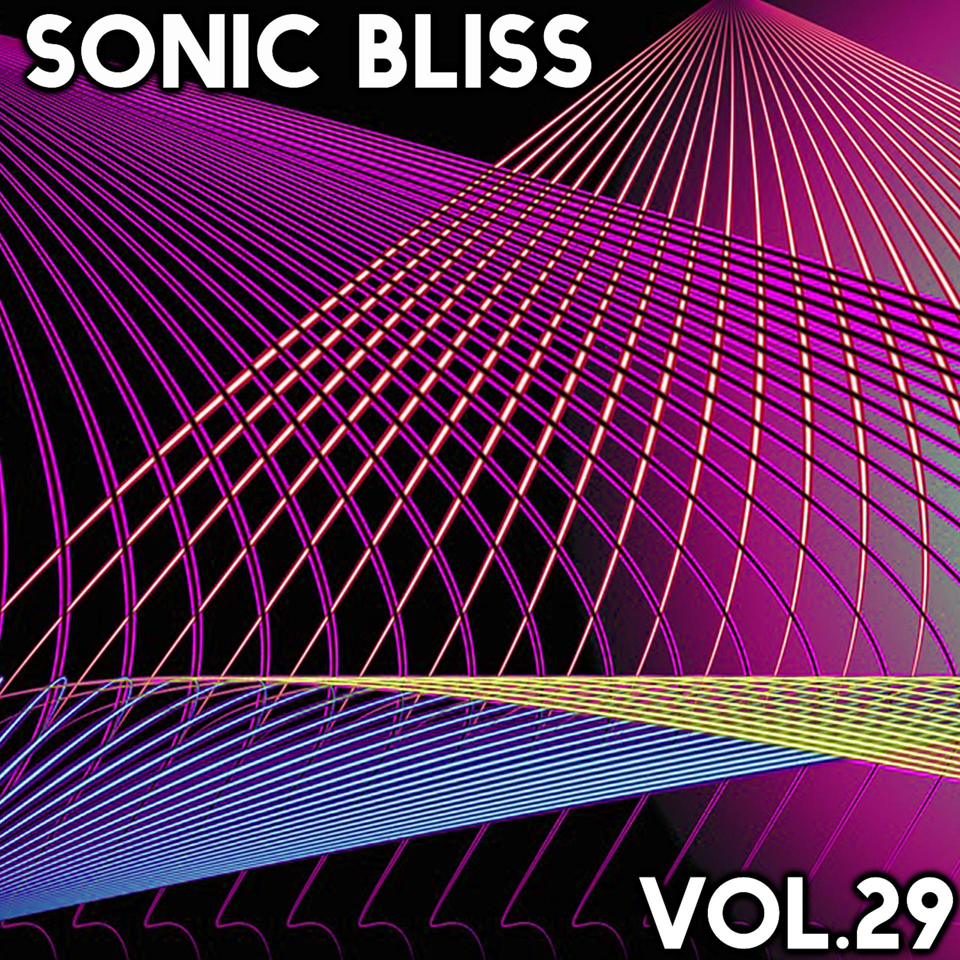 Постер альбома Sonic Bliss, Vol. 29