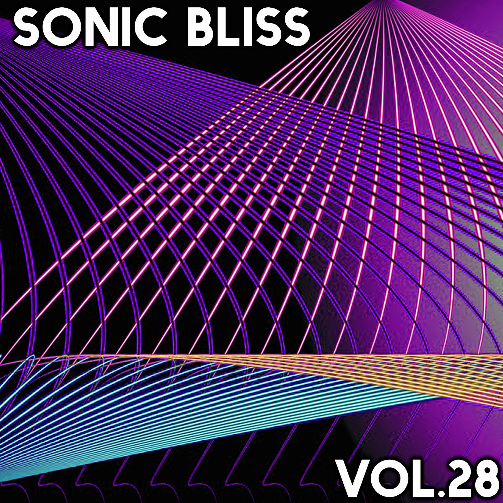 Постер альбома Sonic Bliss, Vol. 28