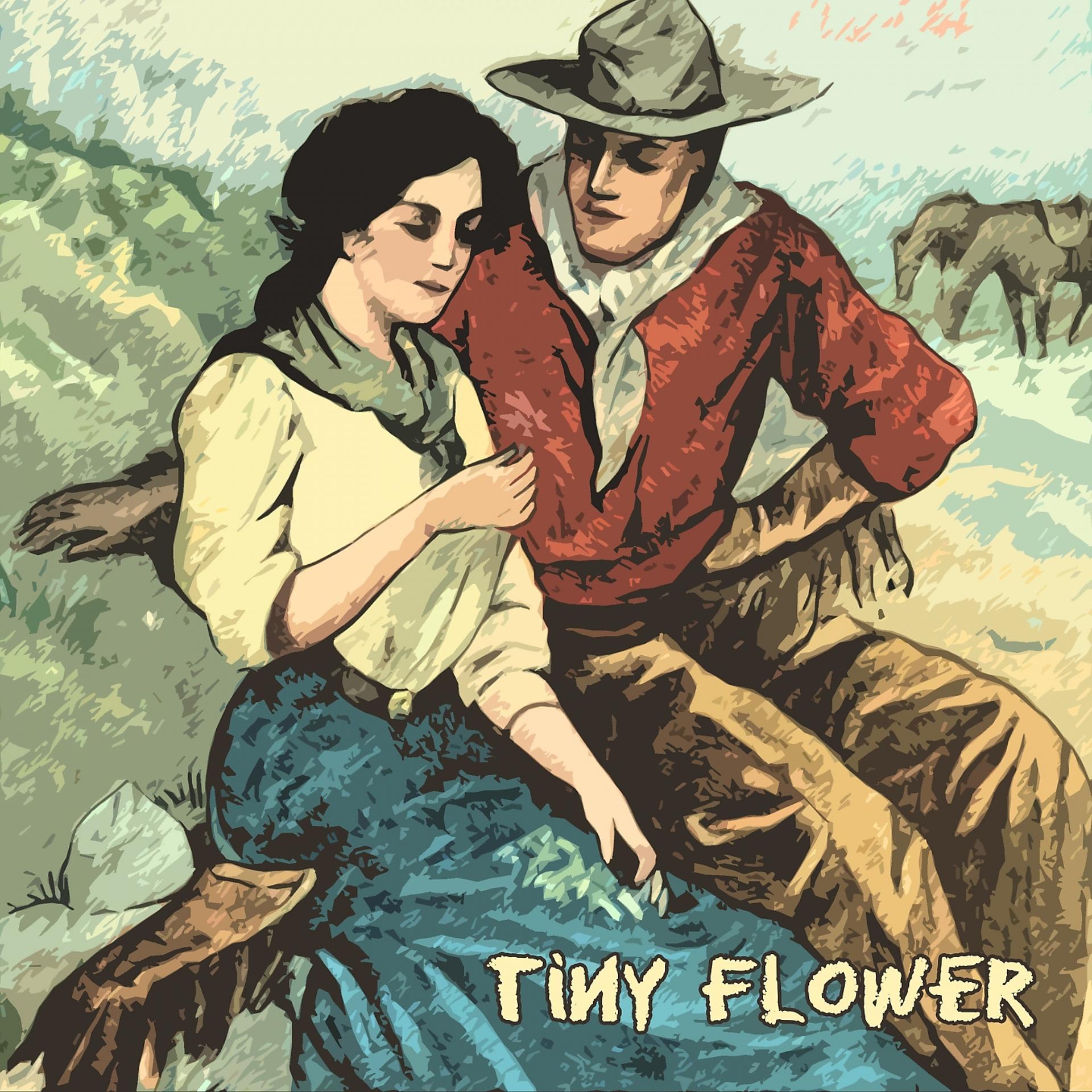 Постер альбома Tiny Flower