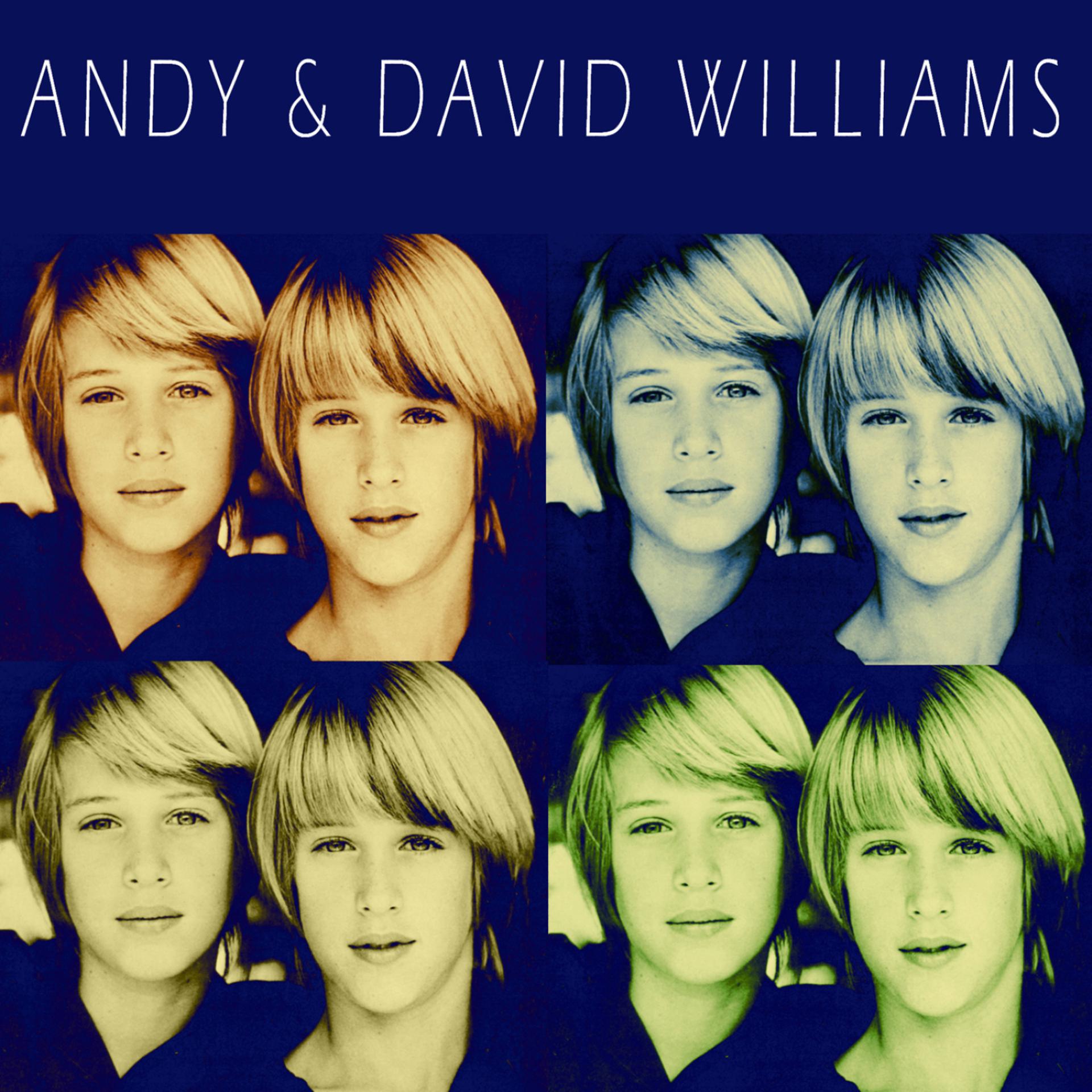 Постер альбома Andy & David Williams