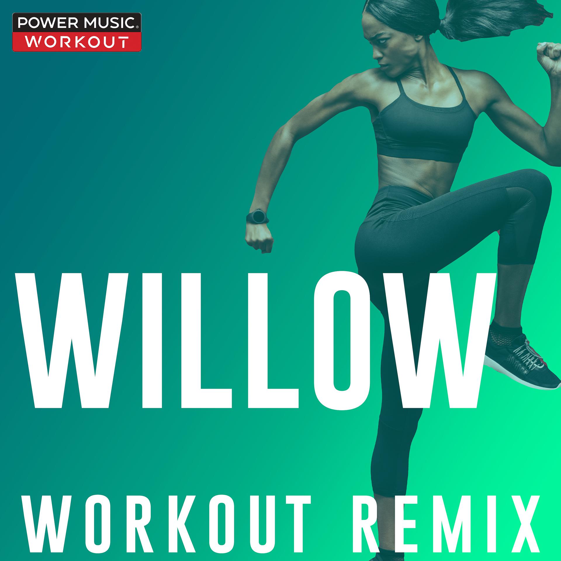 Постер альбома Willow - Single