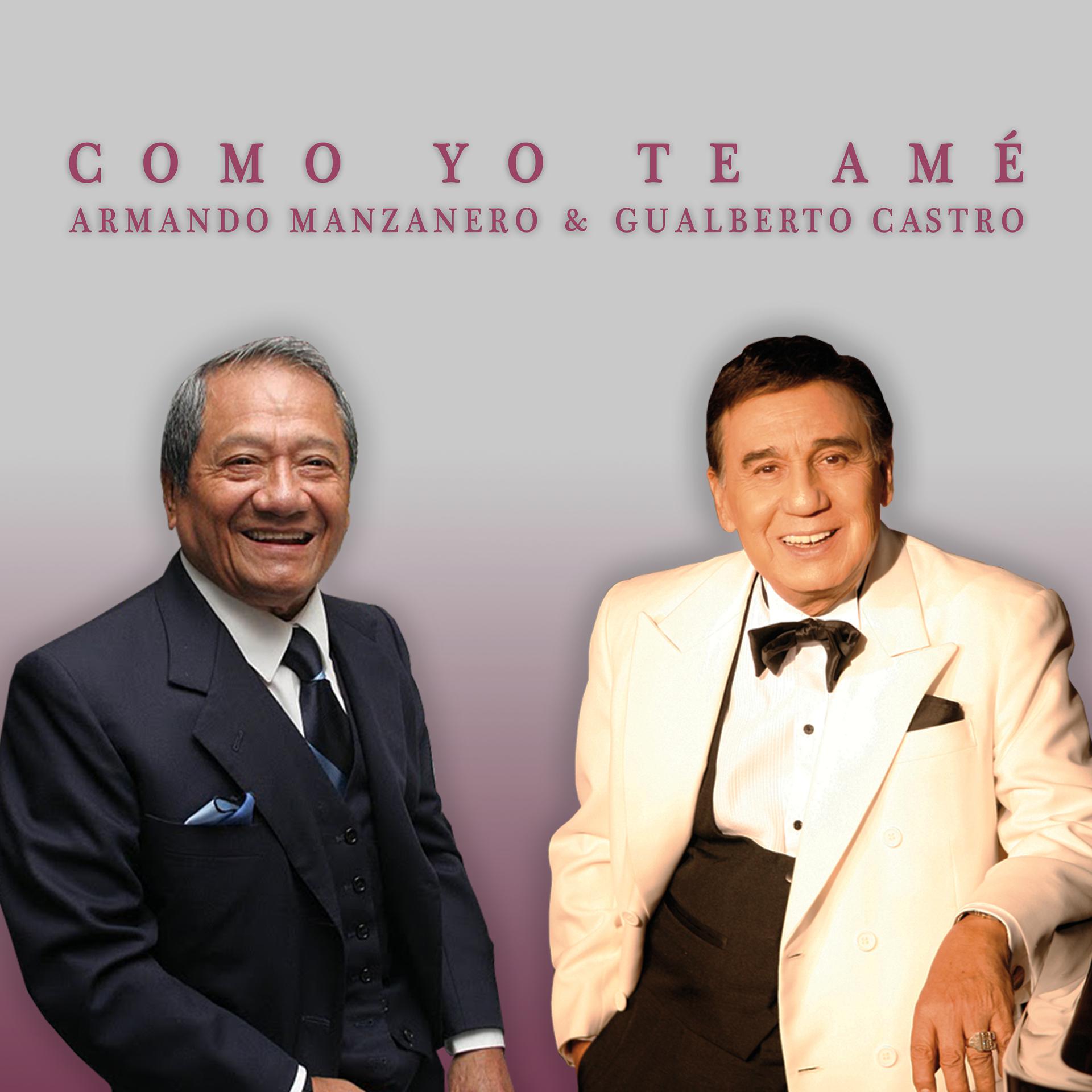 Постер альбома Como Yo Te Amé