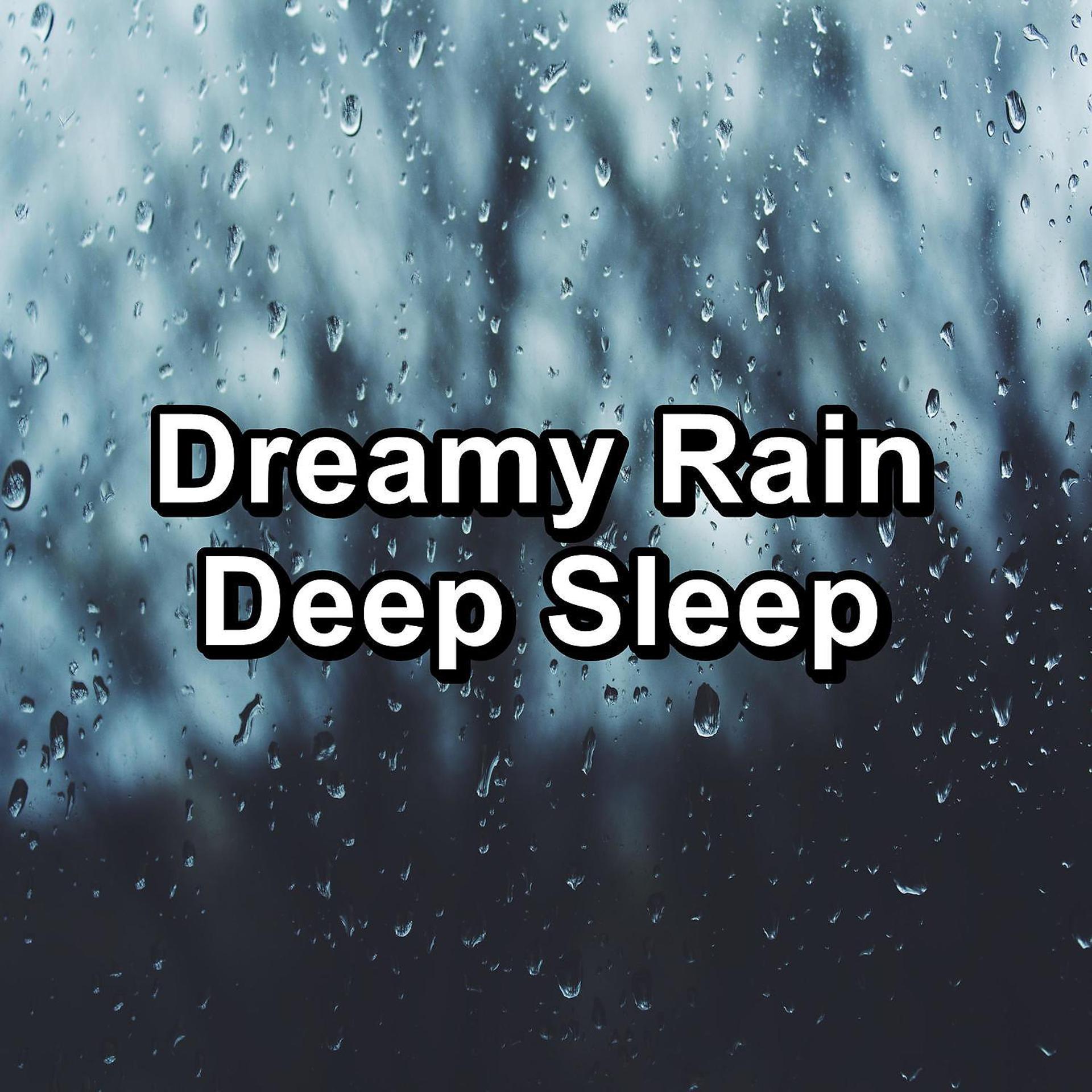 Постер альбома Dreamy Rain Deep Sleep