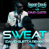 Постер альбома Sweat (Snoop Dogg Vs. David Guetta)
