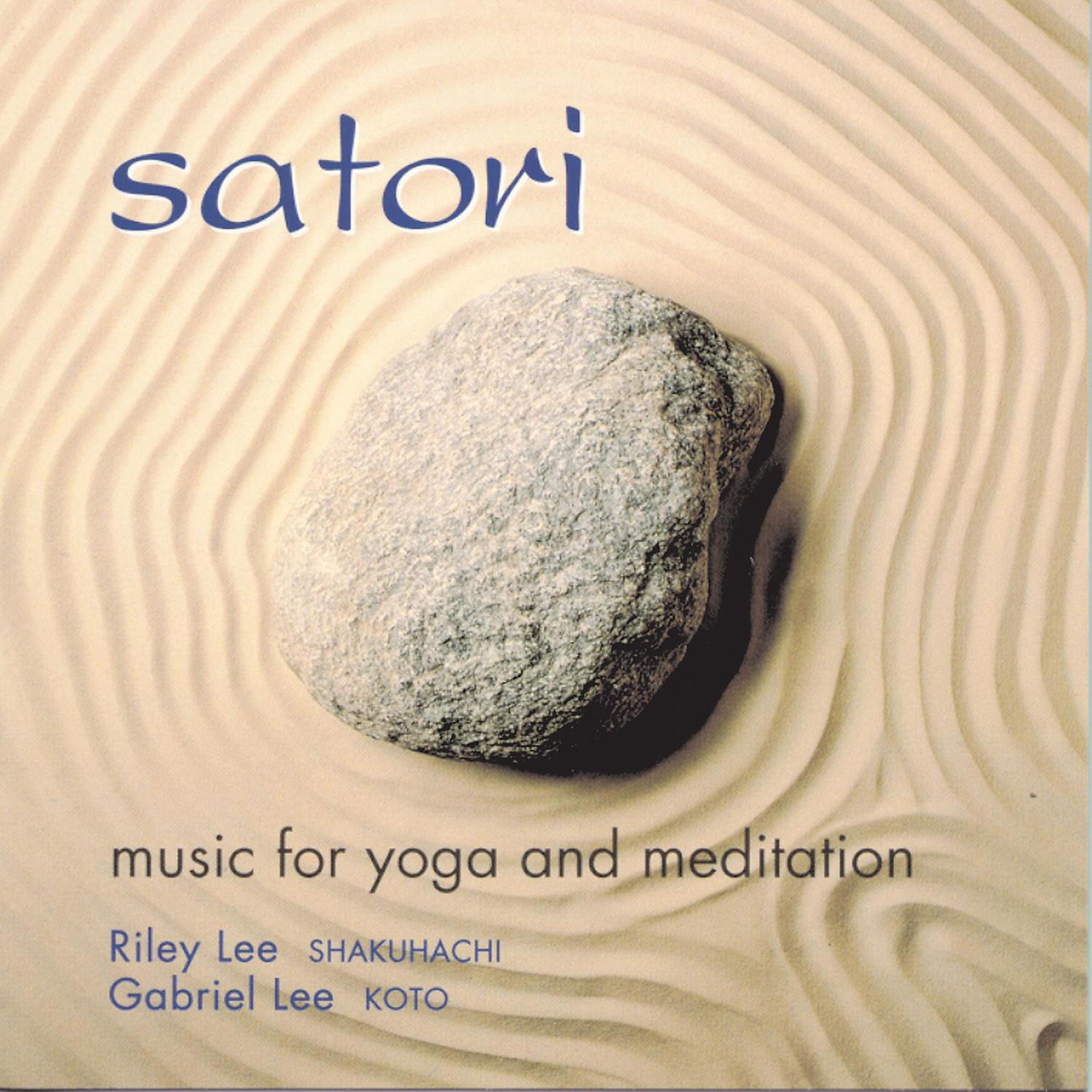 Постер альбома Satori