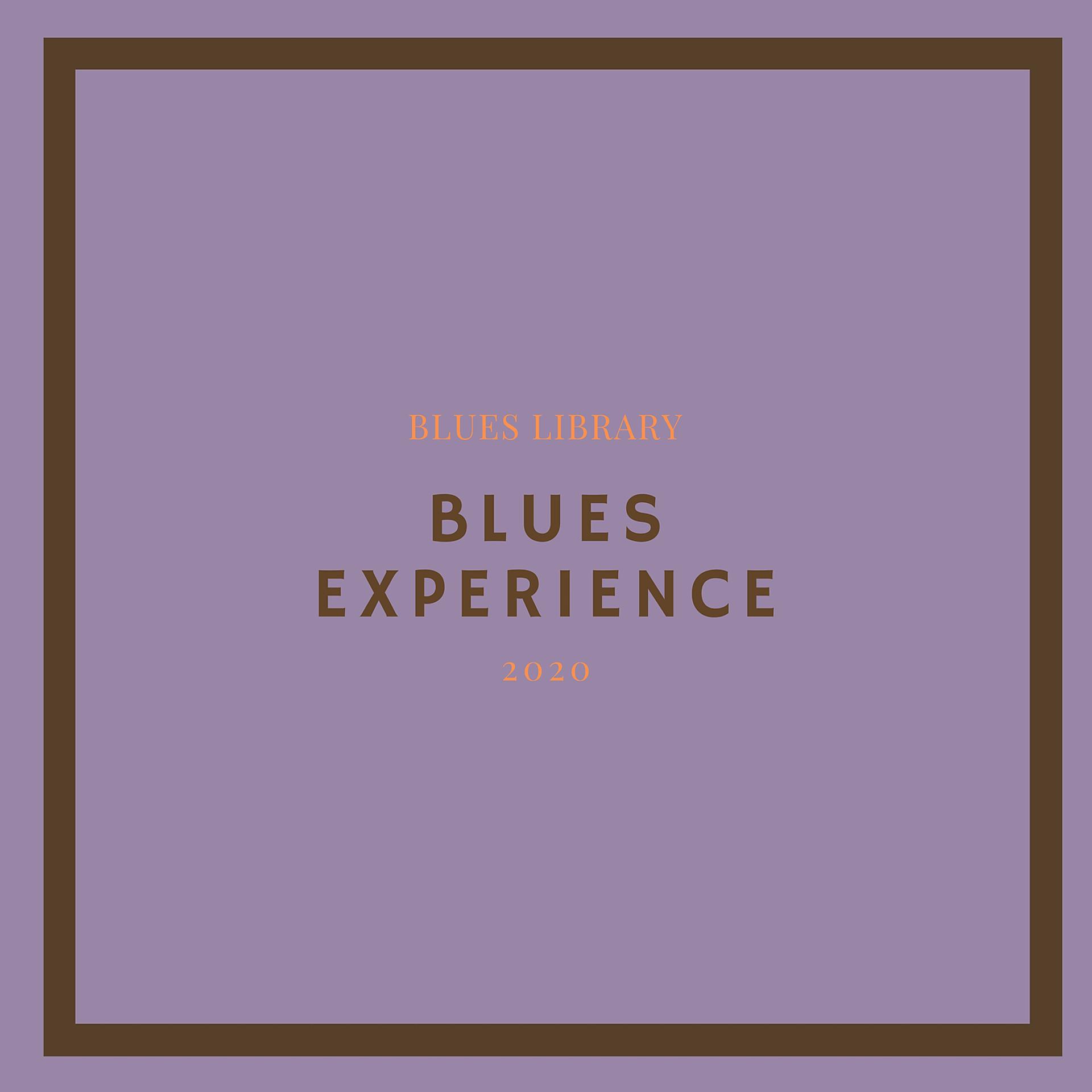 Постер альбома Blues Experience