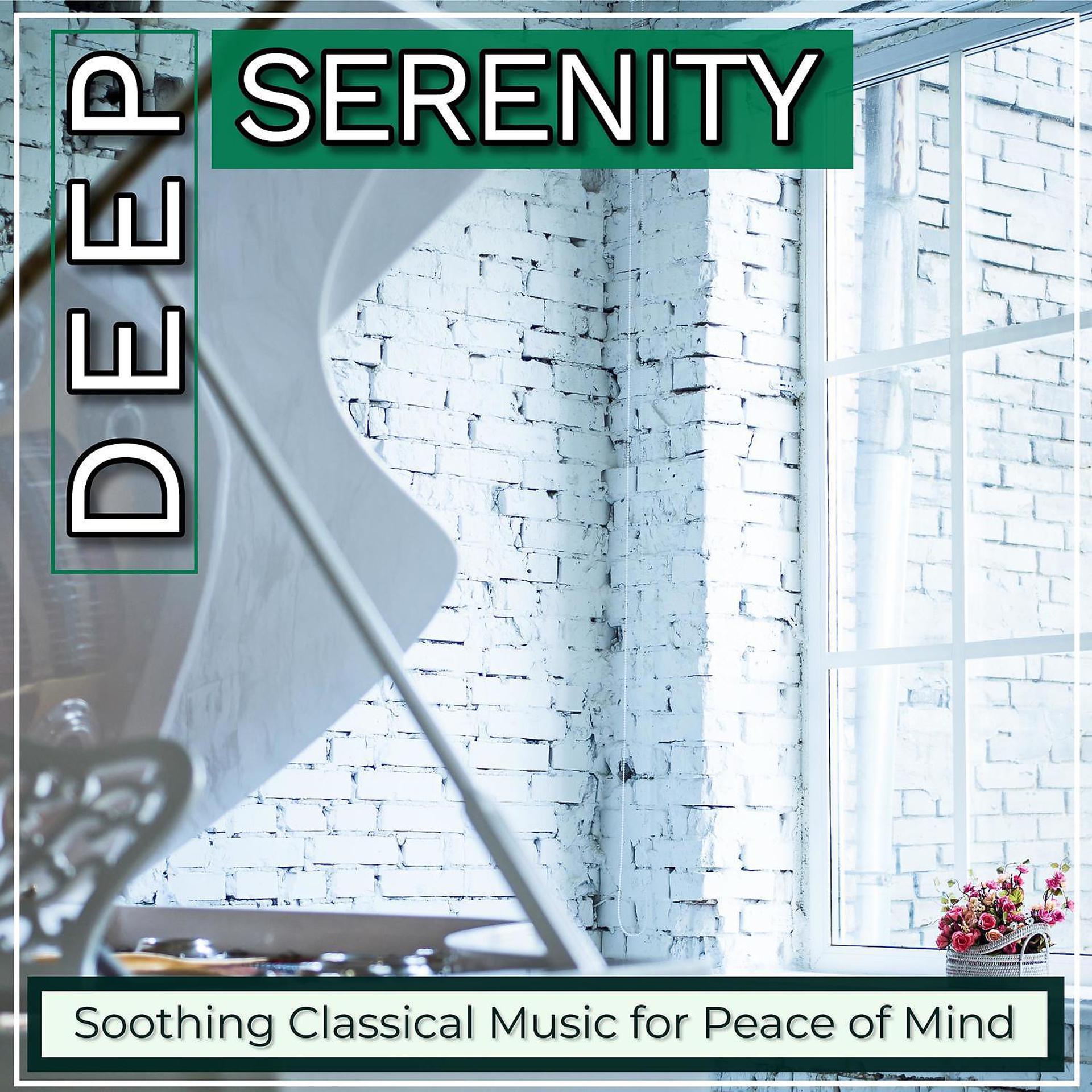 Постер альбома Deep Serenity: Soothing Classical Music for Peace of Mind