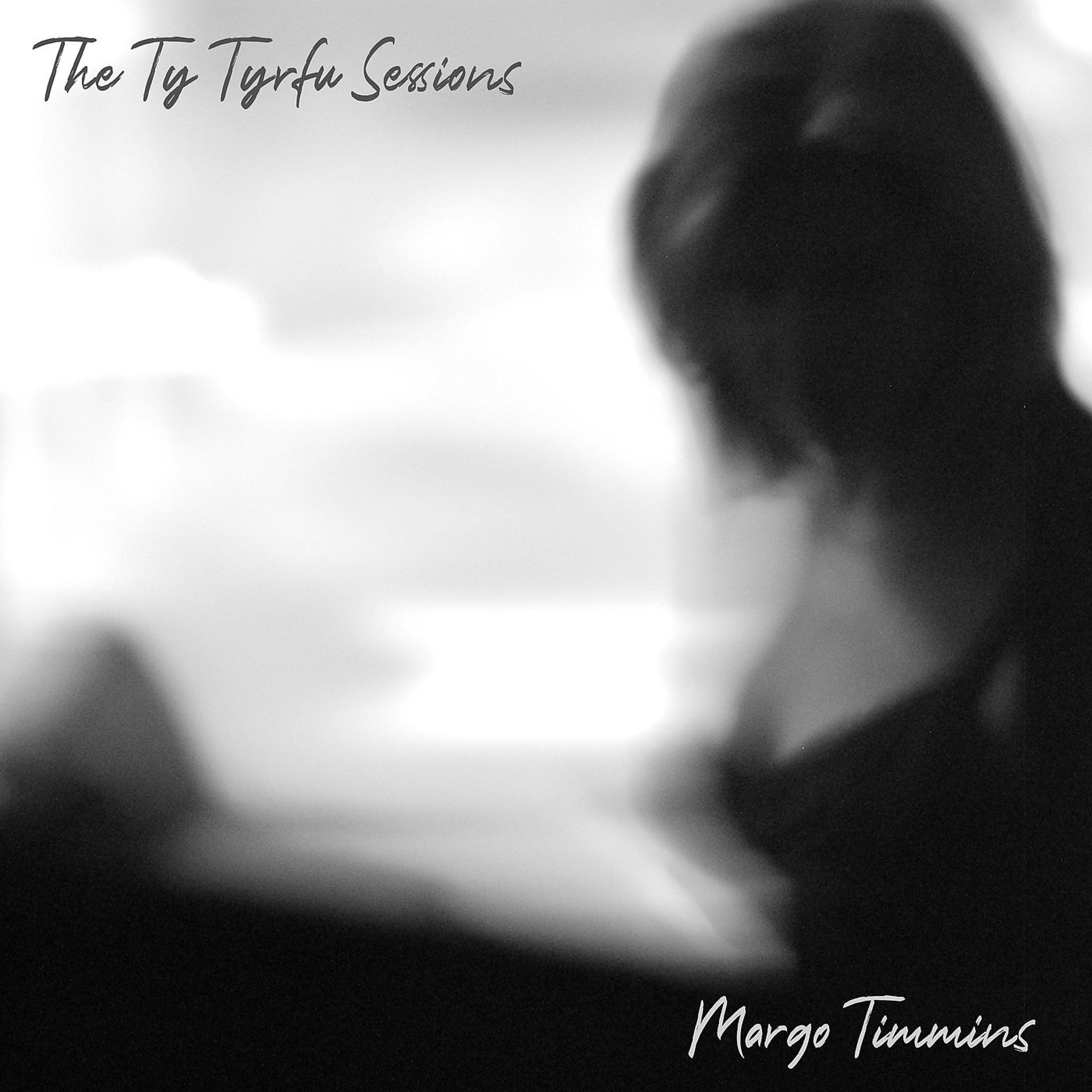 Постер альбома The Ty Tyrfu Sessions