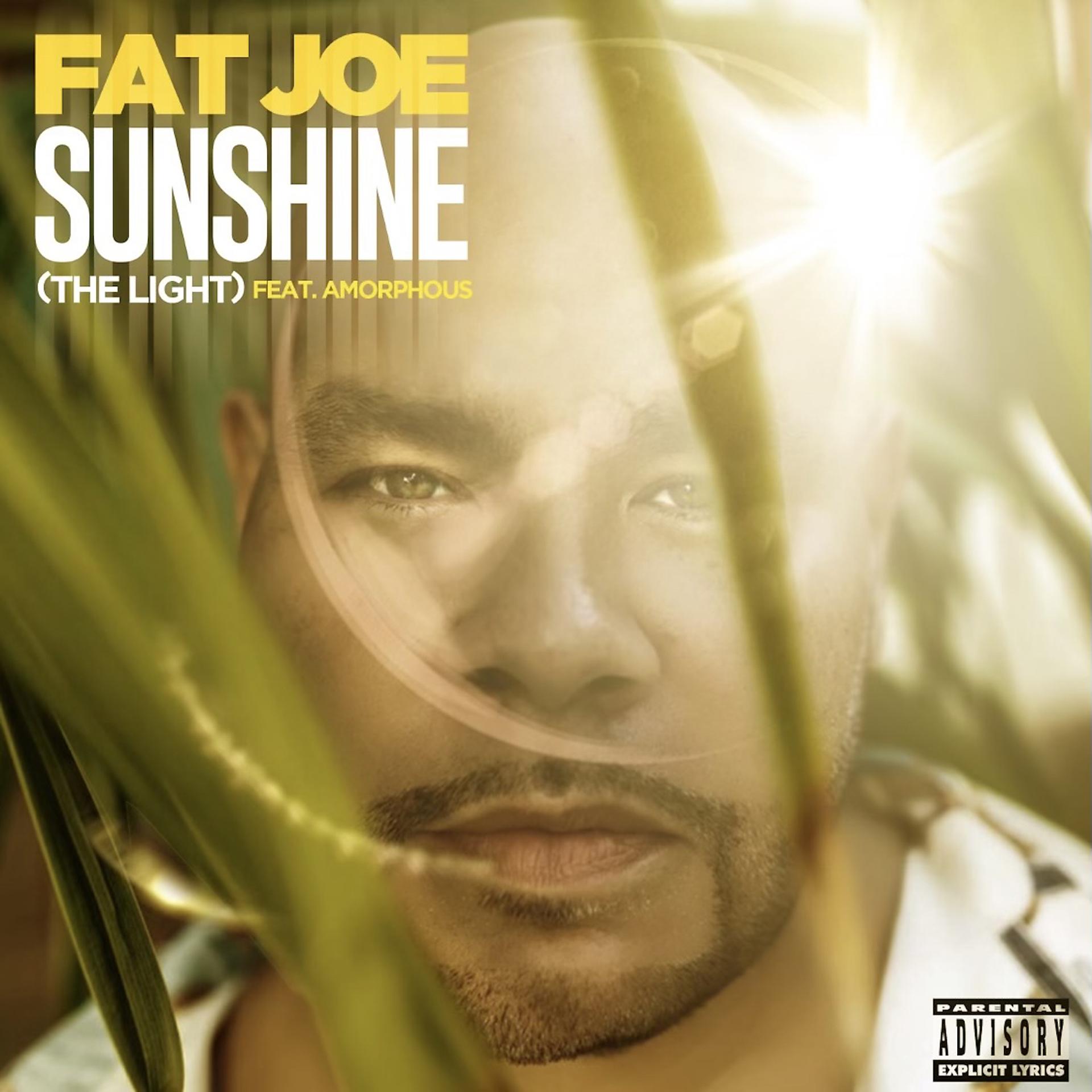 Постер альбома Sunshine (The Light)