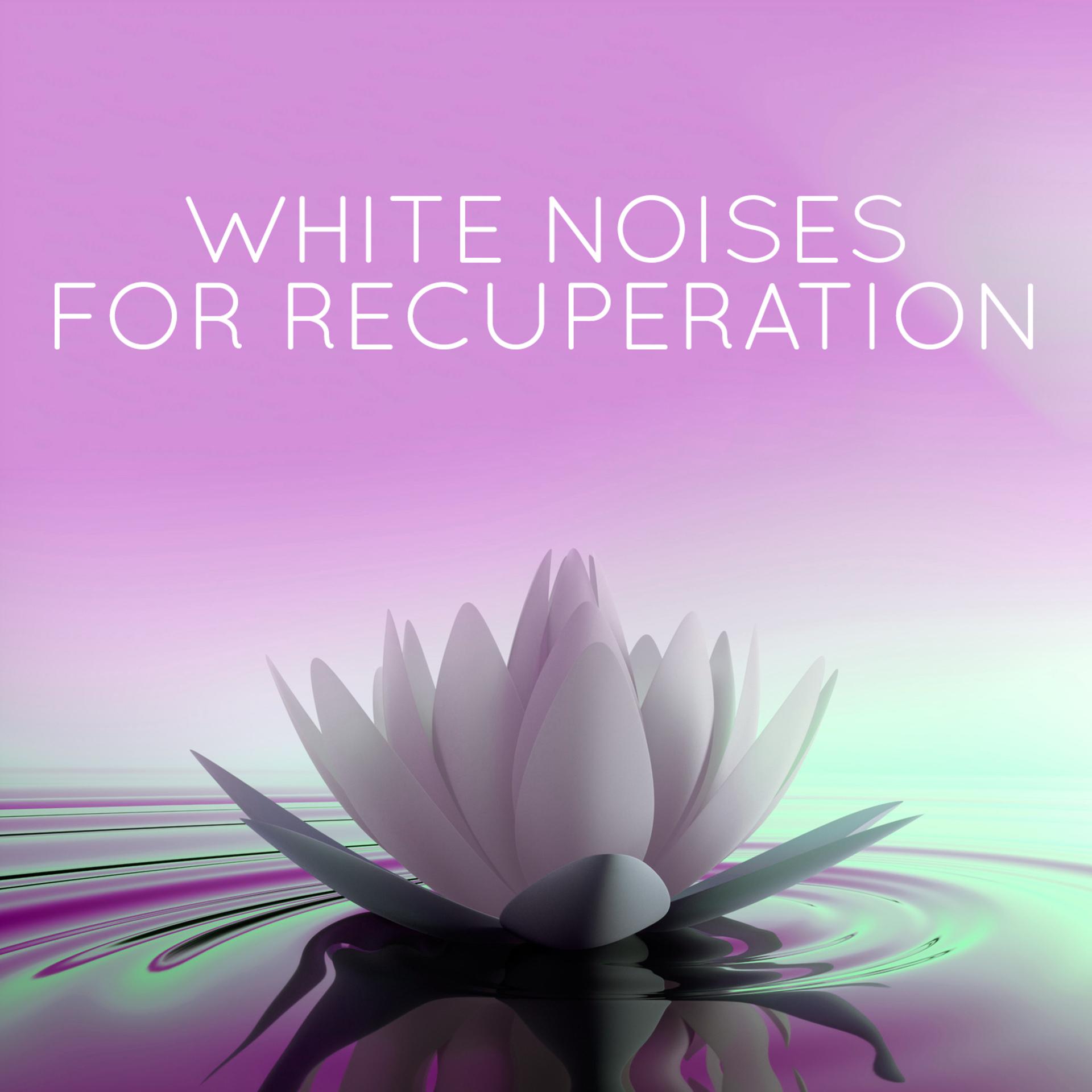Постер альбома White Noises for Recuperation