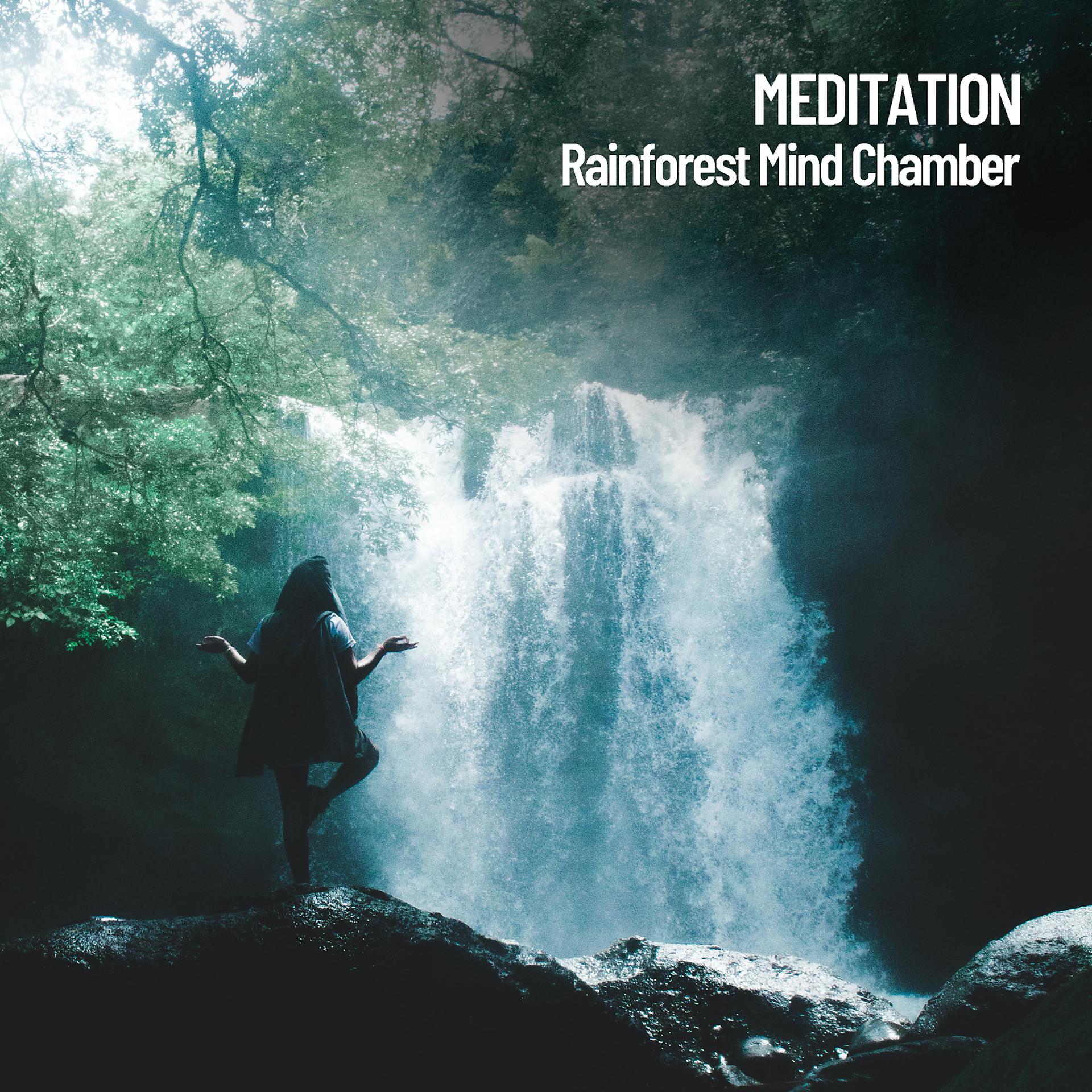 Постер альбома Meditation: Rainforest Mind Chamber