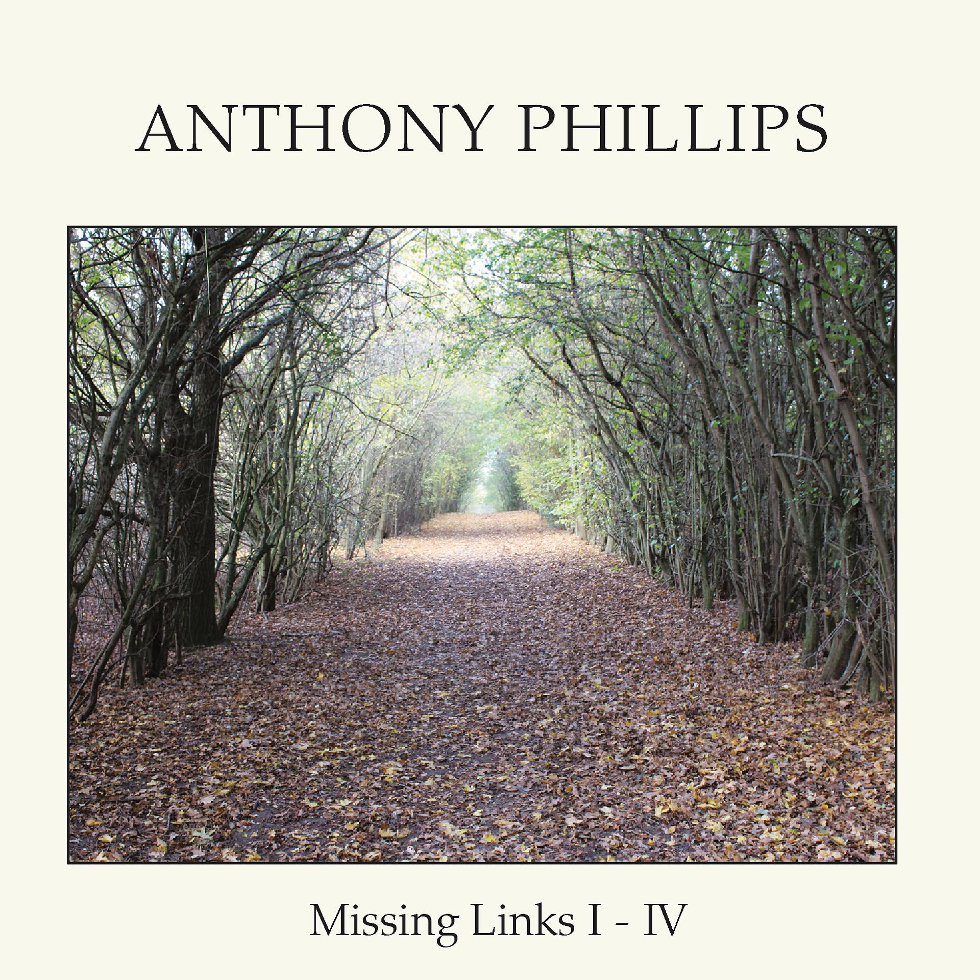 Постер альбома Missing Links I-IV