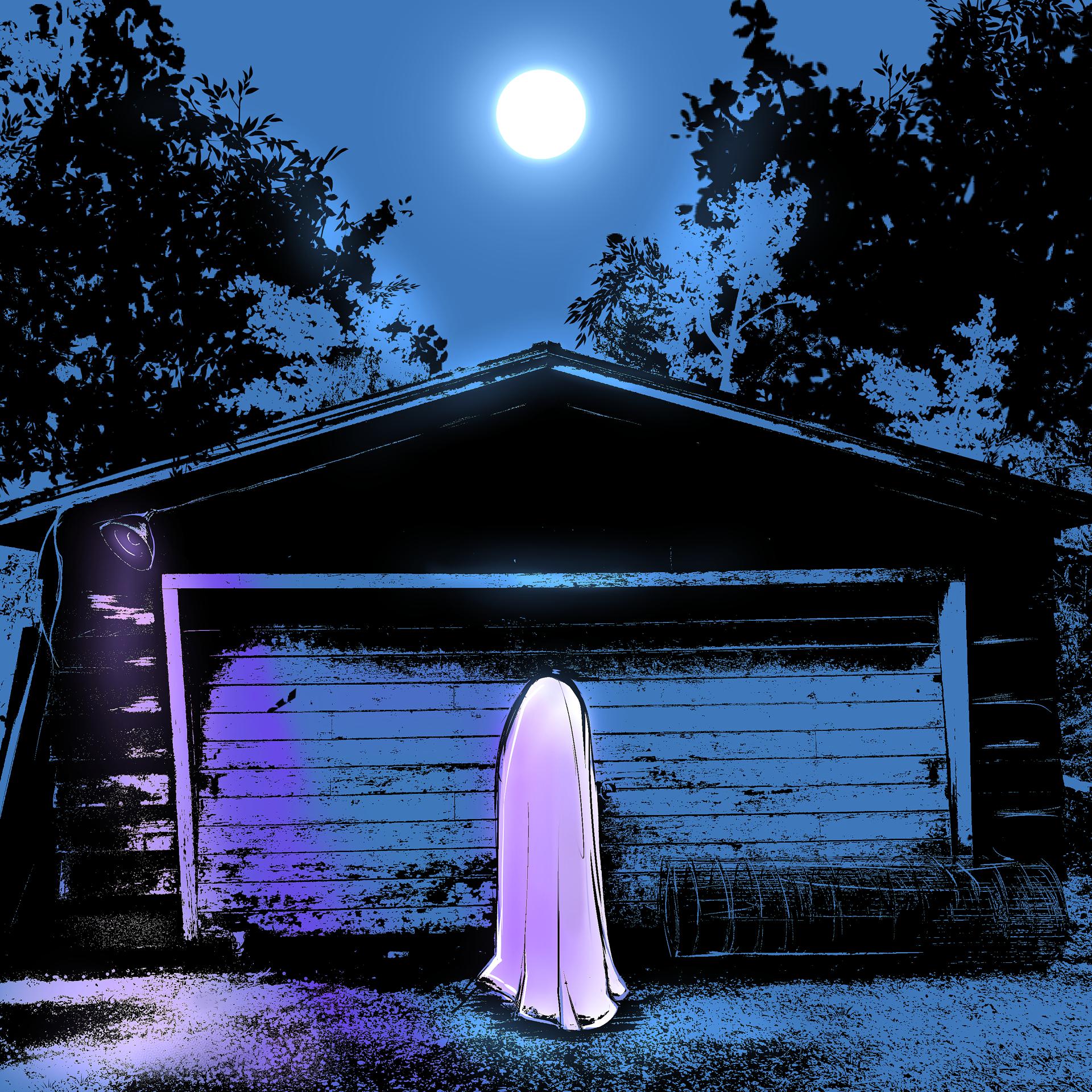 Постер альбома Ghost in My Home