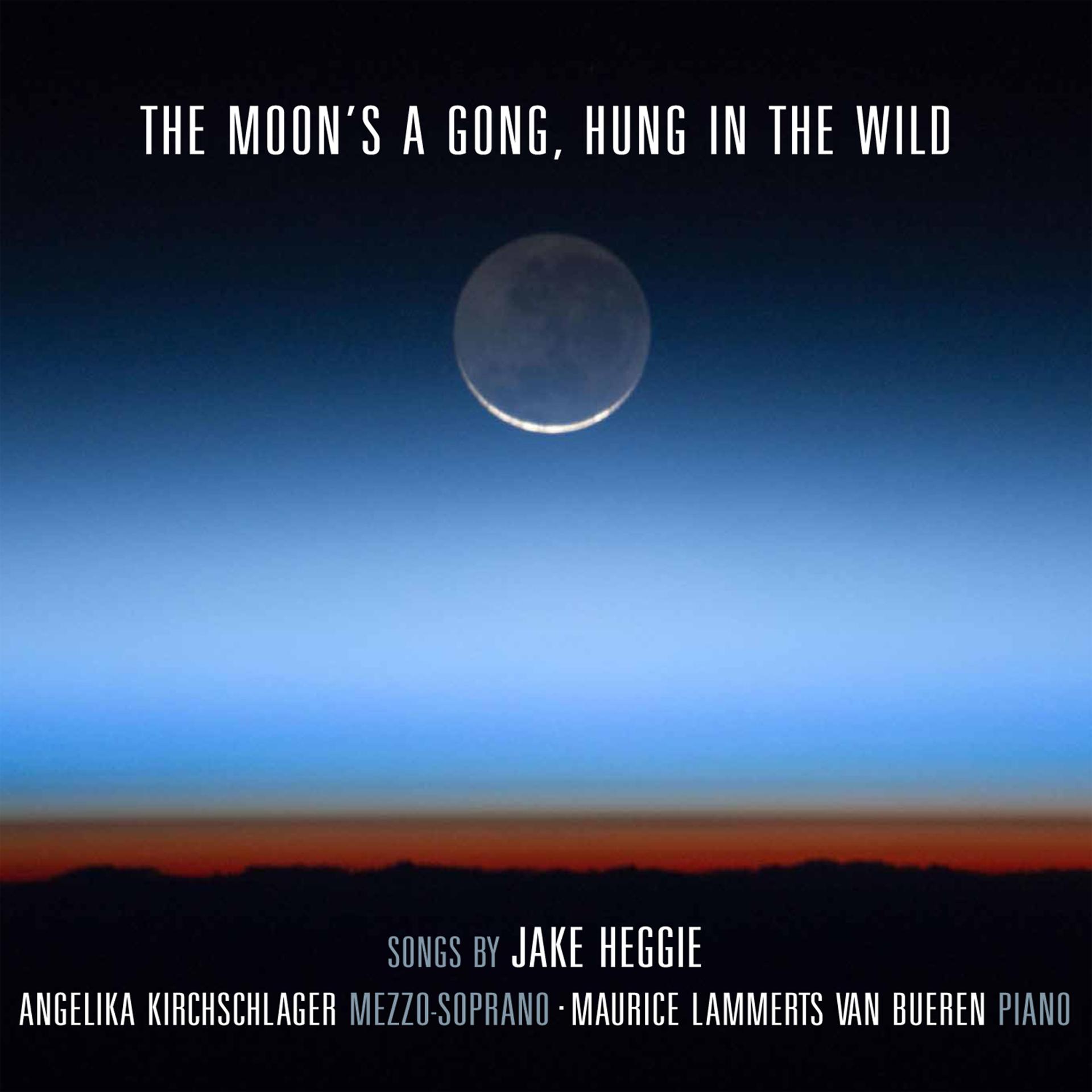 Постер альбома The Moon's a Gong, Hung in the Wild