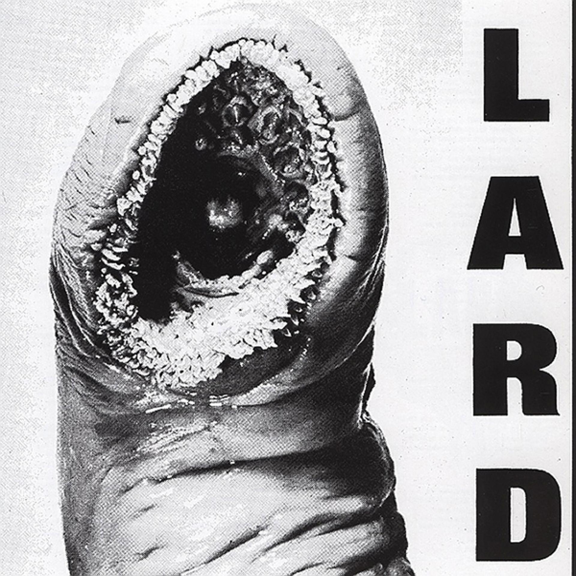 Постер альбома Power Of Lard