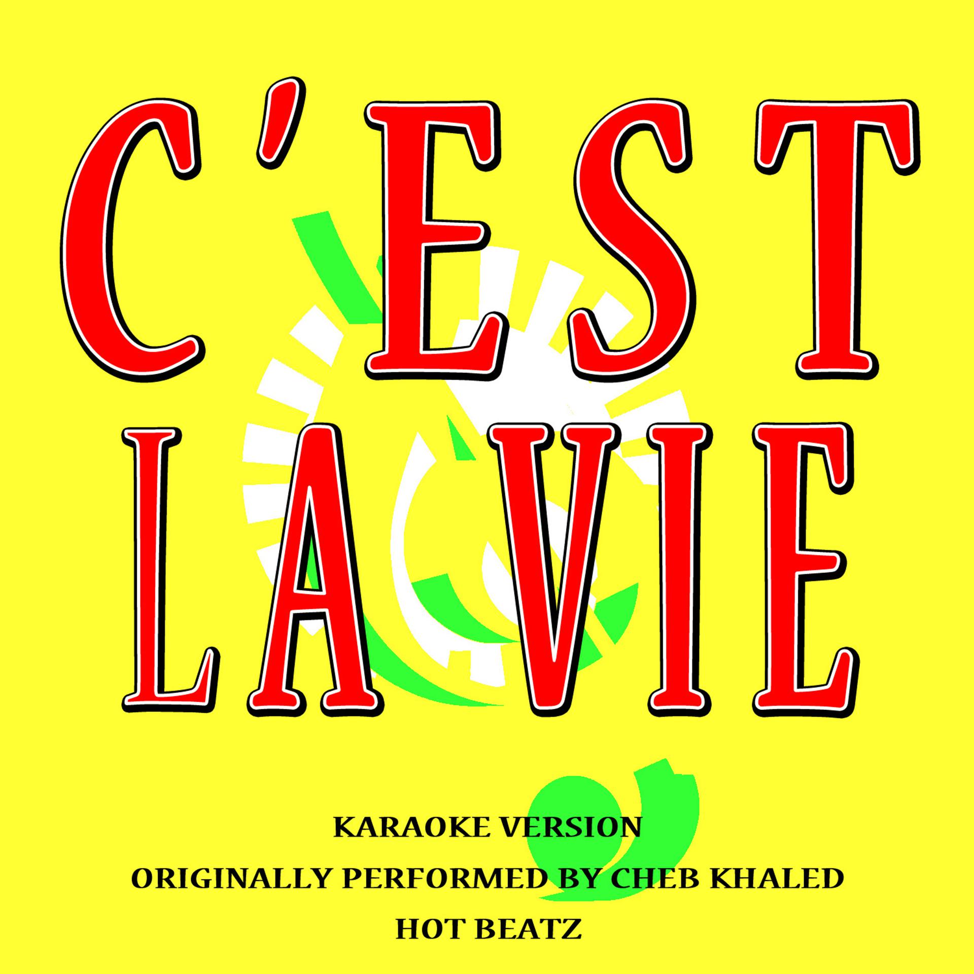 Постер альбома C'est La Vie (Originally Performed by Cheb Khaled) [Karaoke Version]