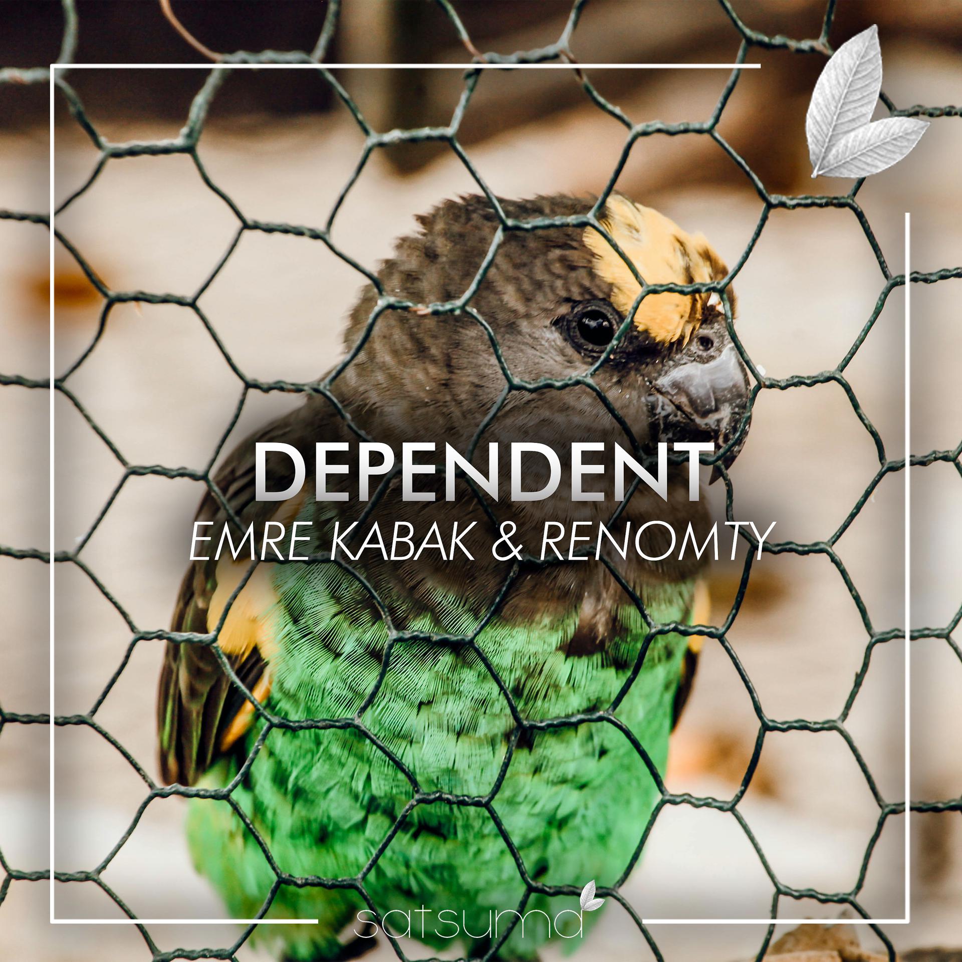 Постер альбома Dependent