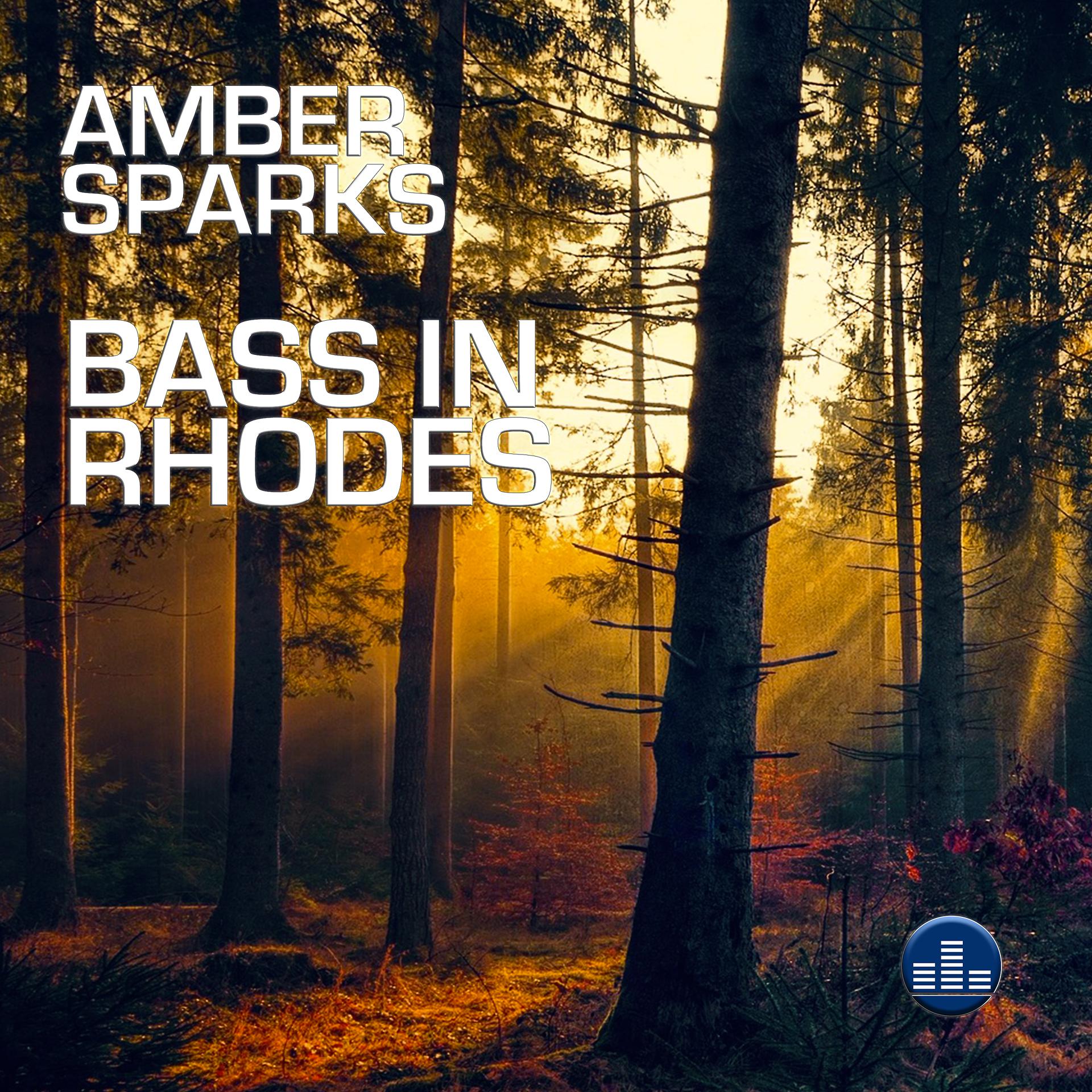 Постер альбома Bass in Rhodes