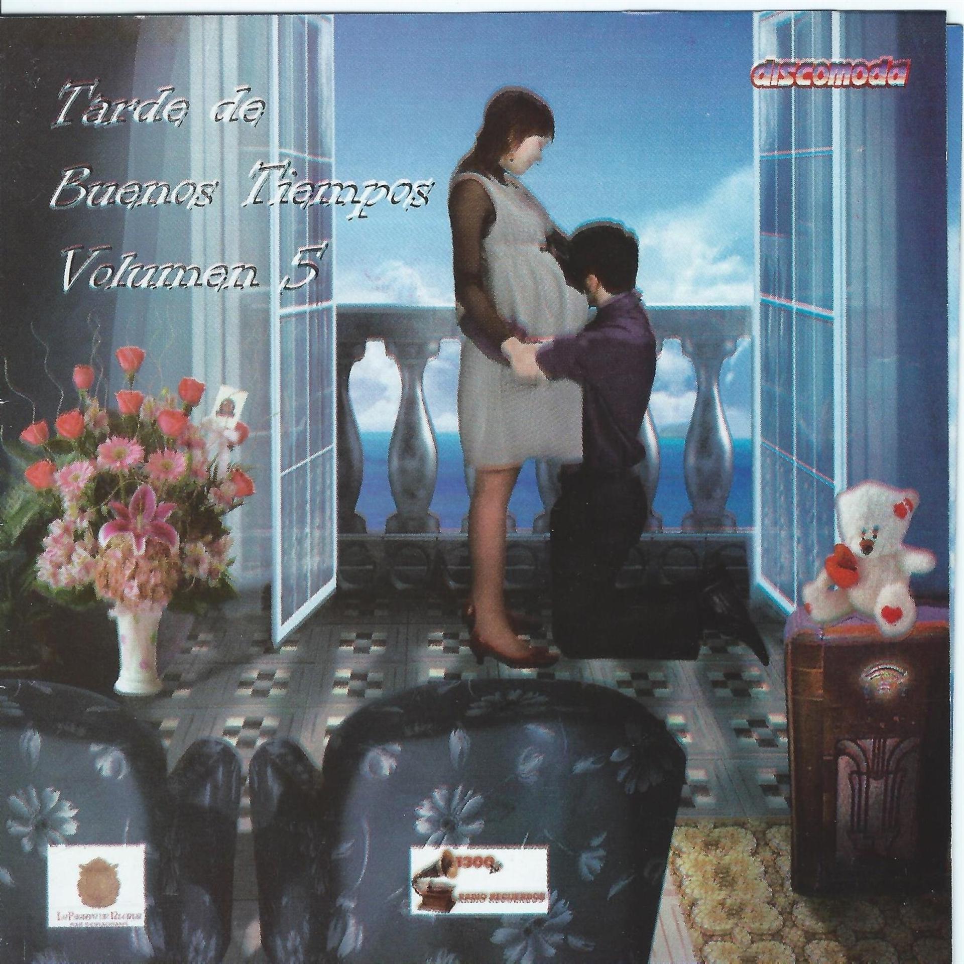 Постер альбома Tarde de Buenos Tiempos, Vol. 5