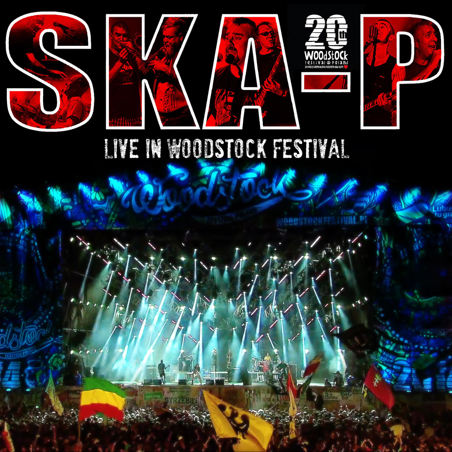 Постер альбома Live In Woodstock Festival