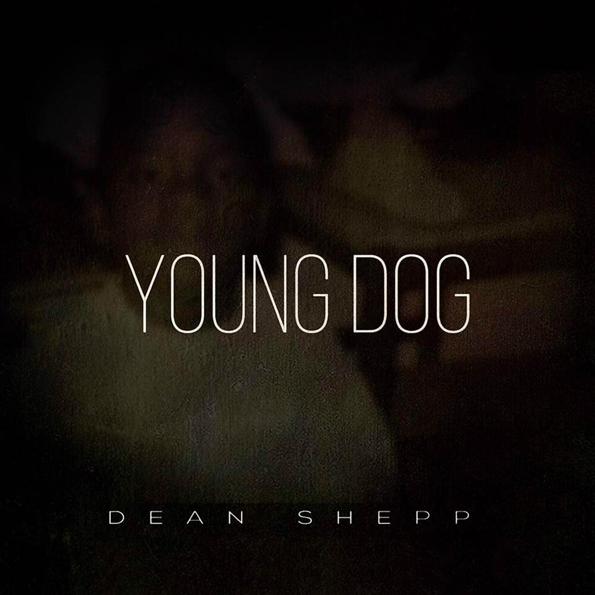 Постер альбома Young Dog