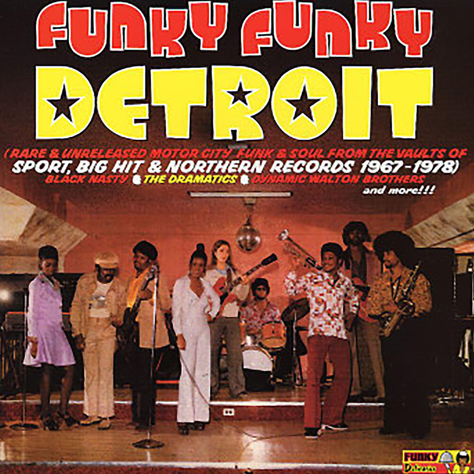 Постер альбома Funky Funky Detroit