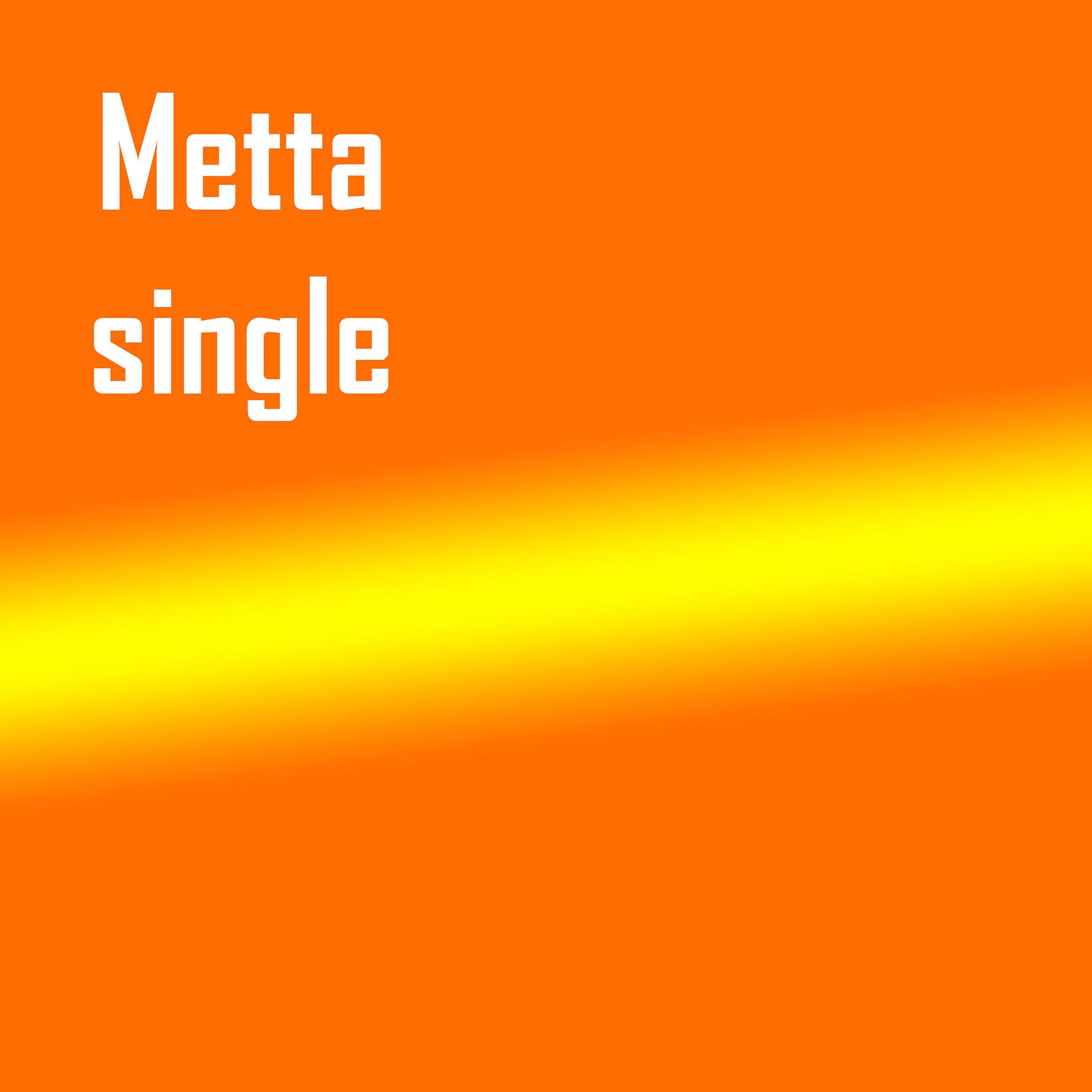 Постер альбома Metta
