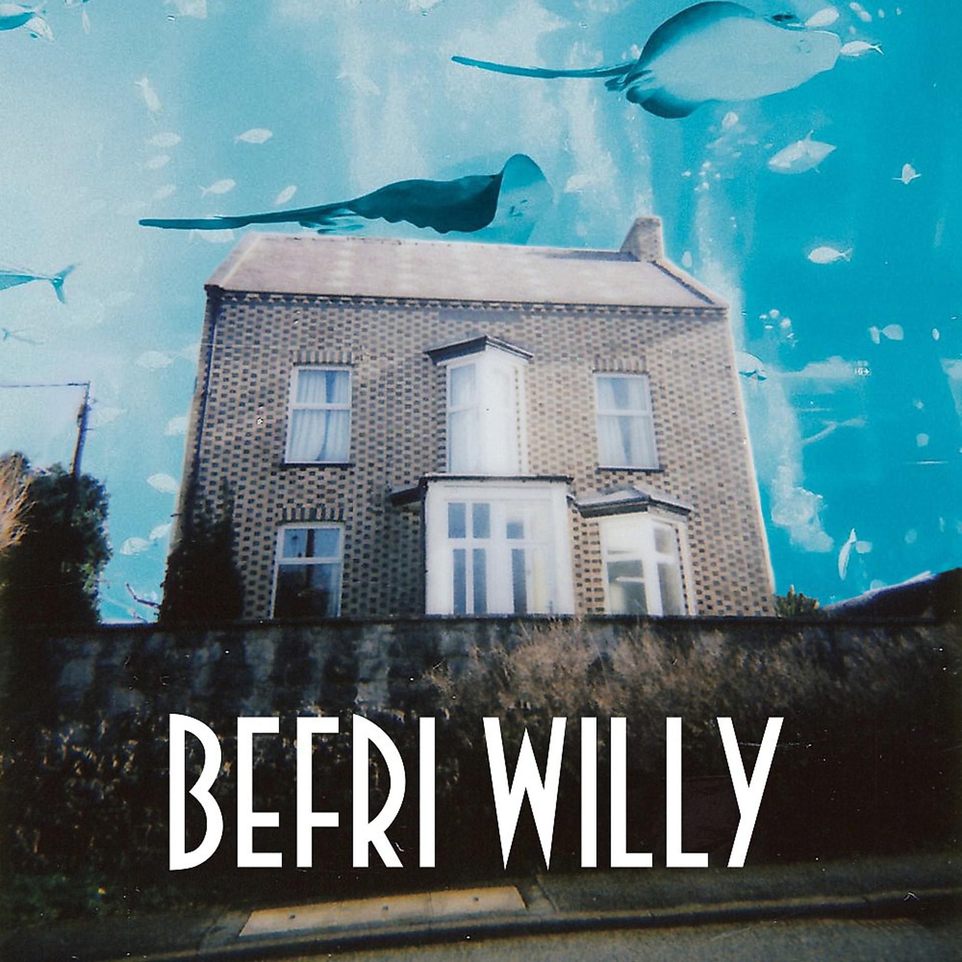 Постер альбома Befri Willy