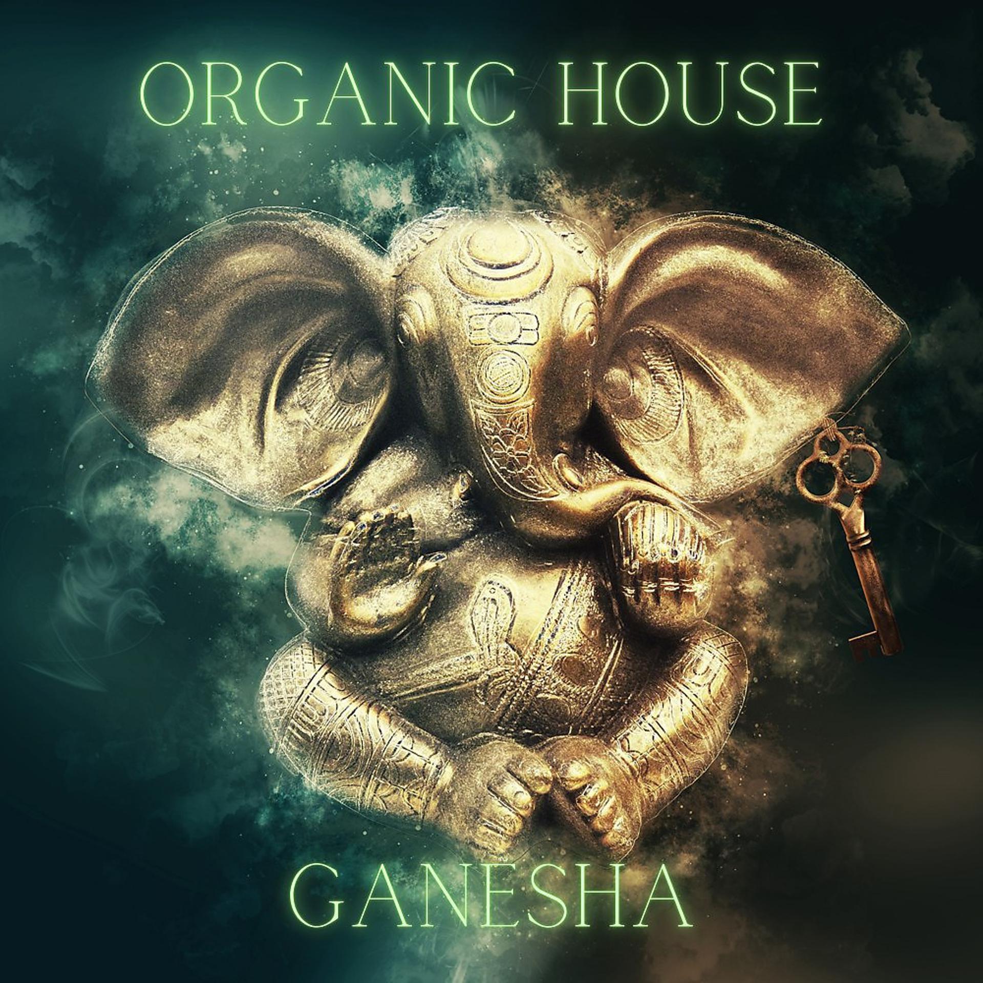 Постер альбома Organic House - Ganesha
