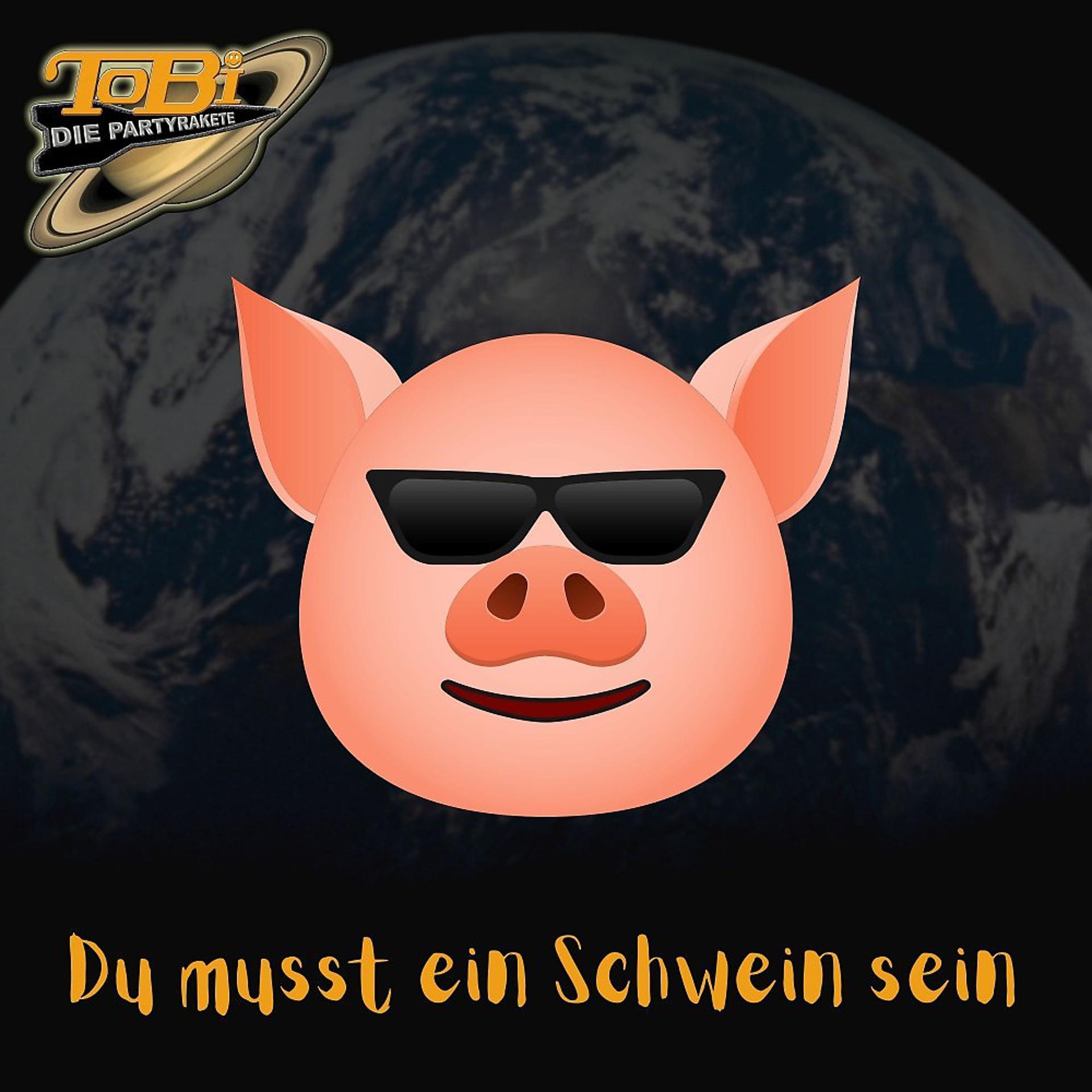 Постер альбома Du musst ein Schwein sein