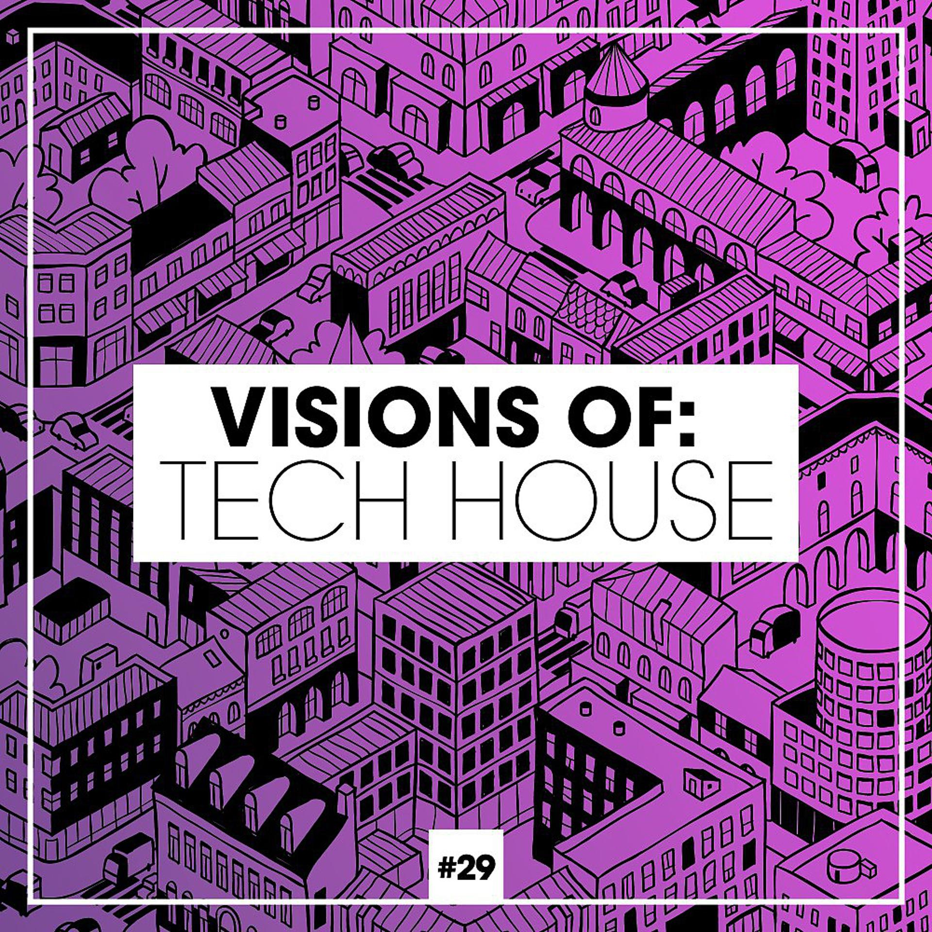 Постер альбома Visions of: Tech House, Vol. 29