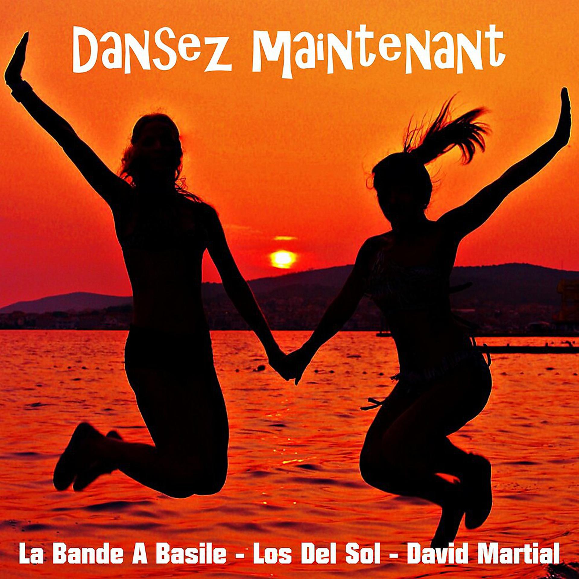 Постер альбома Dansez maintenant