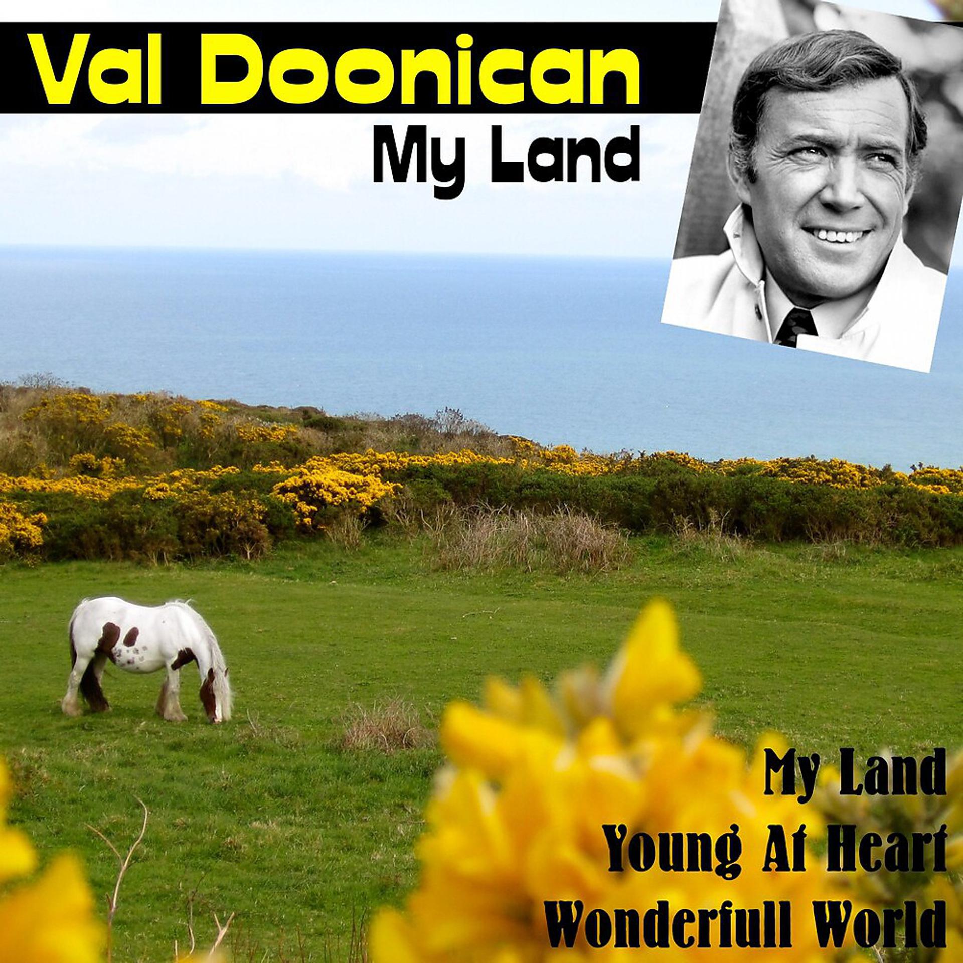 Постер альбома My Land