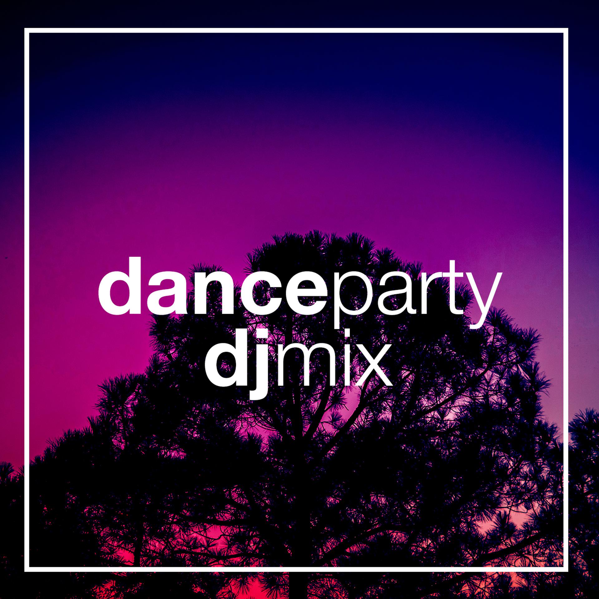 Постер альбома Dance Party DJ Mix