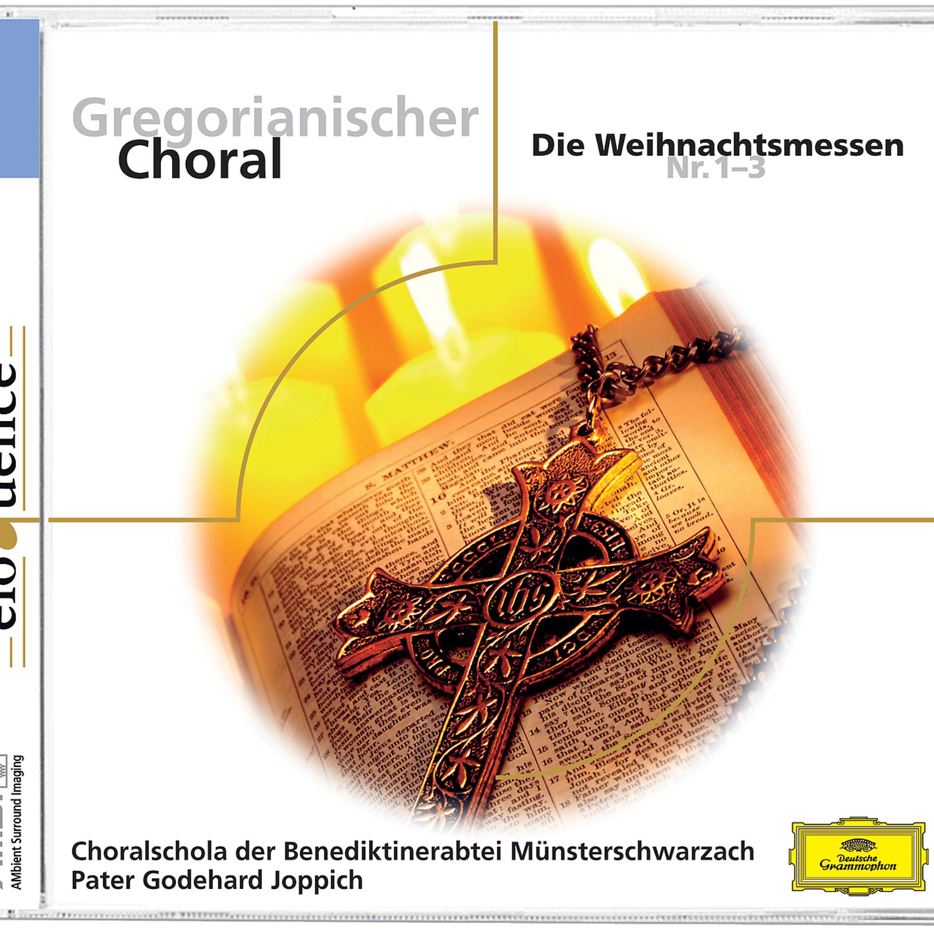 Постер альбома Gregorianischer Choral