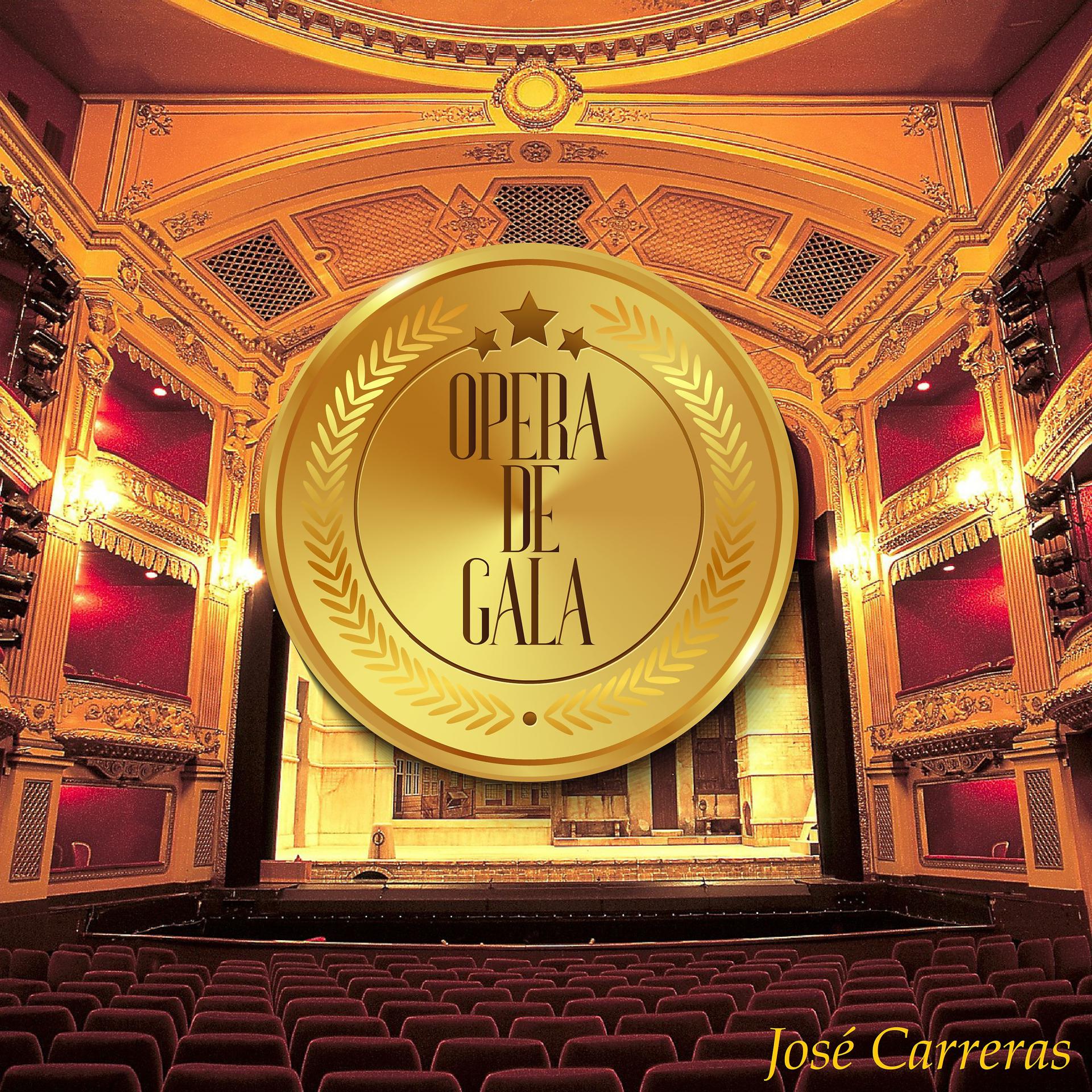 Постер альбома Opera de Gala