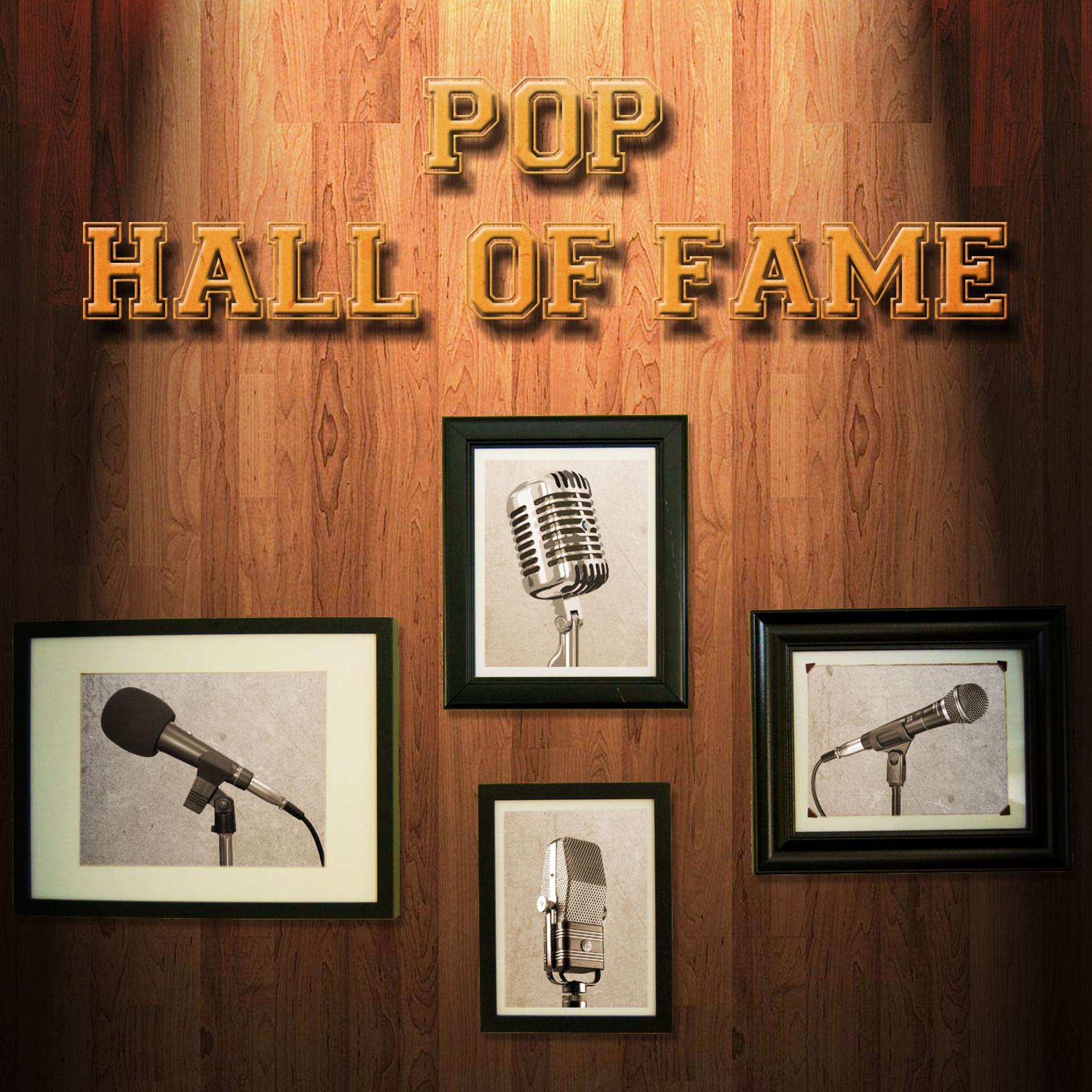 Постер альбома Pop Hall of Fame