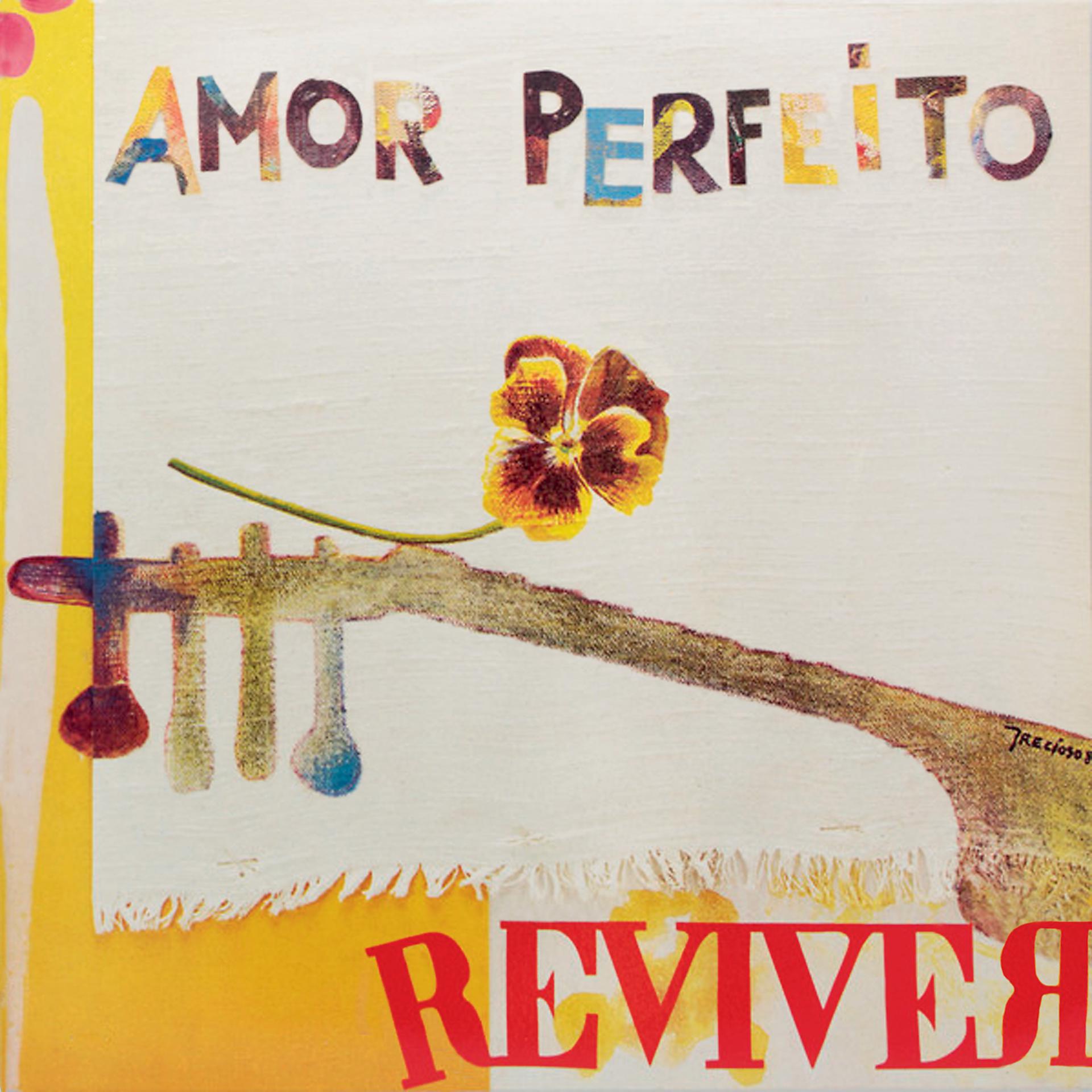 Постер альбома Amor Perfeito
