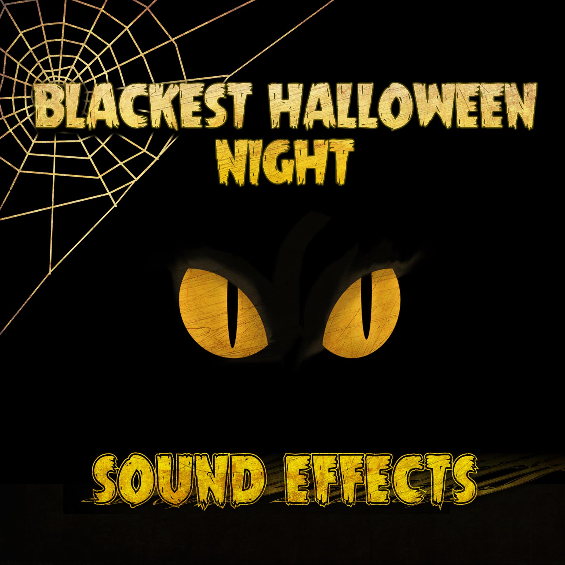 Постер альбома Blackest Halloween Night Sound Effects