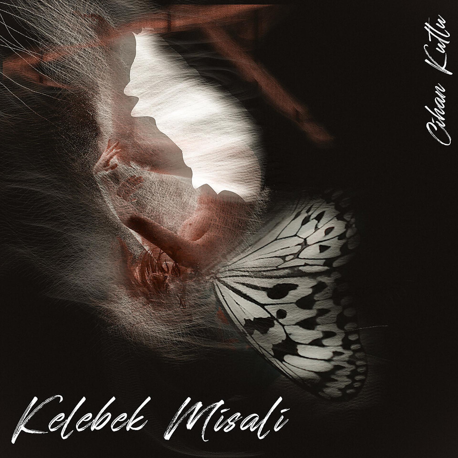 Постер альбома Kelebek Misali