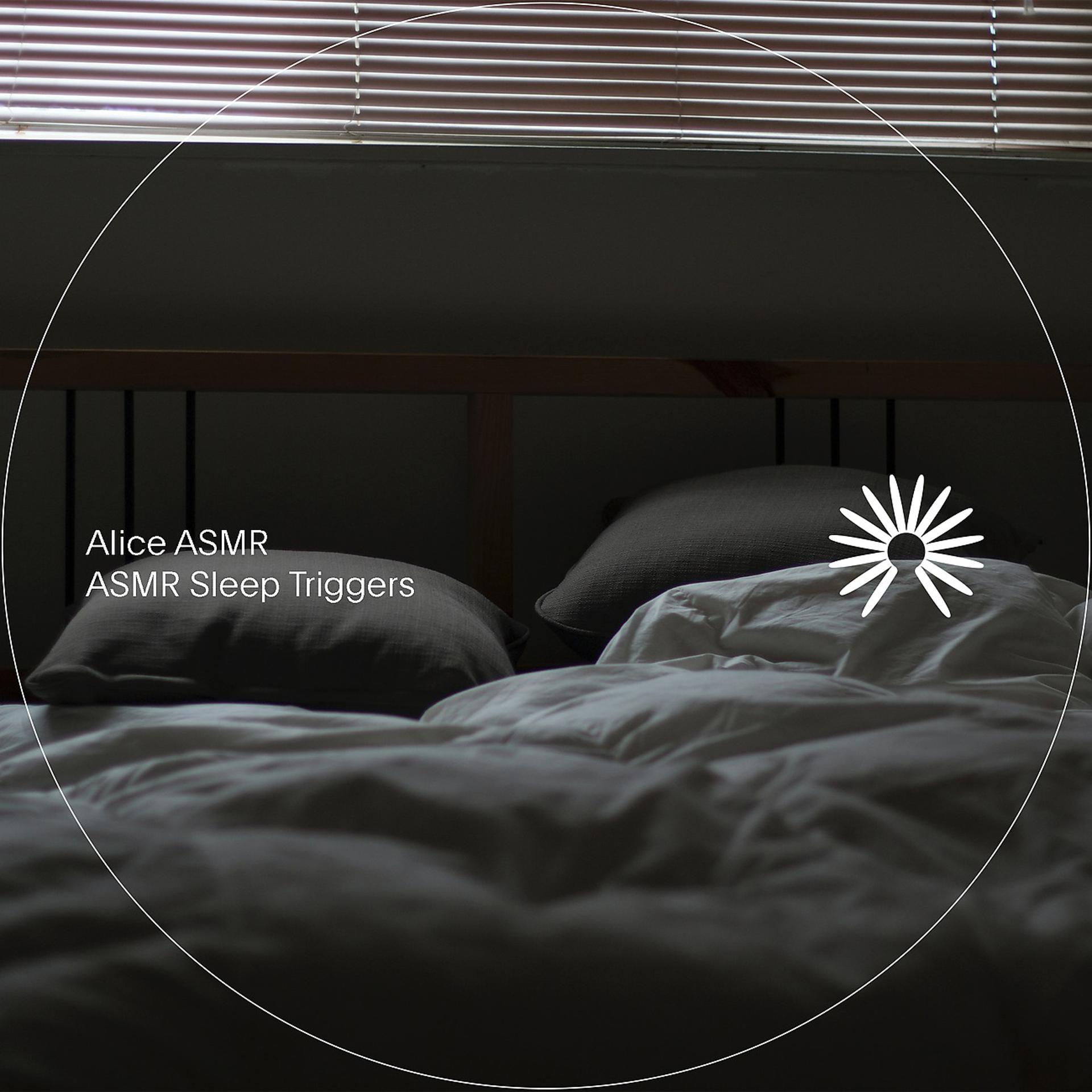 Постер альбома ASMR Sleep Triggers