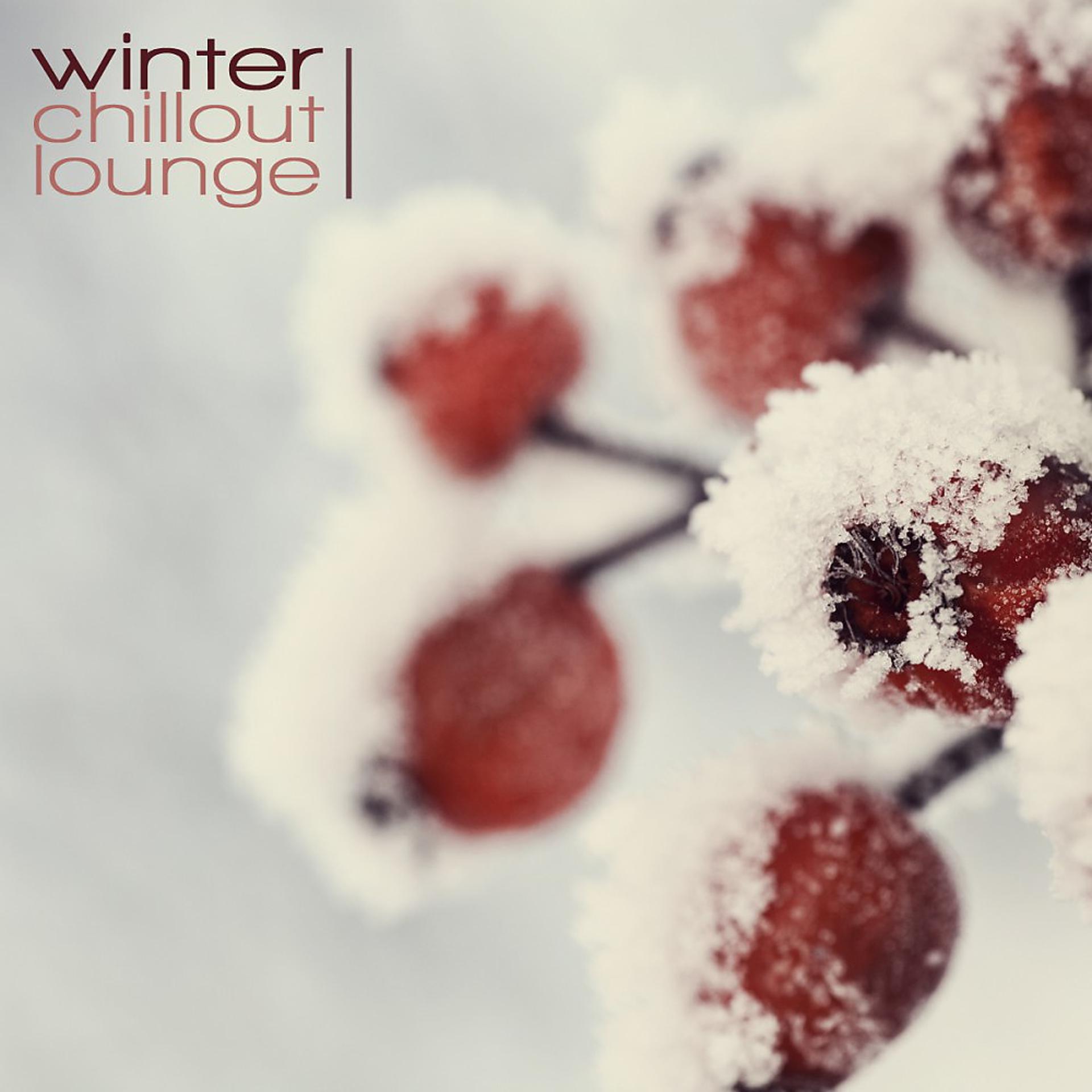Постер альбома Winter Chillout Lounge