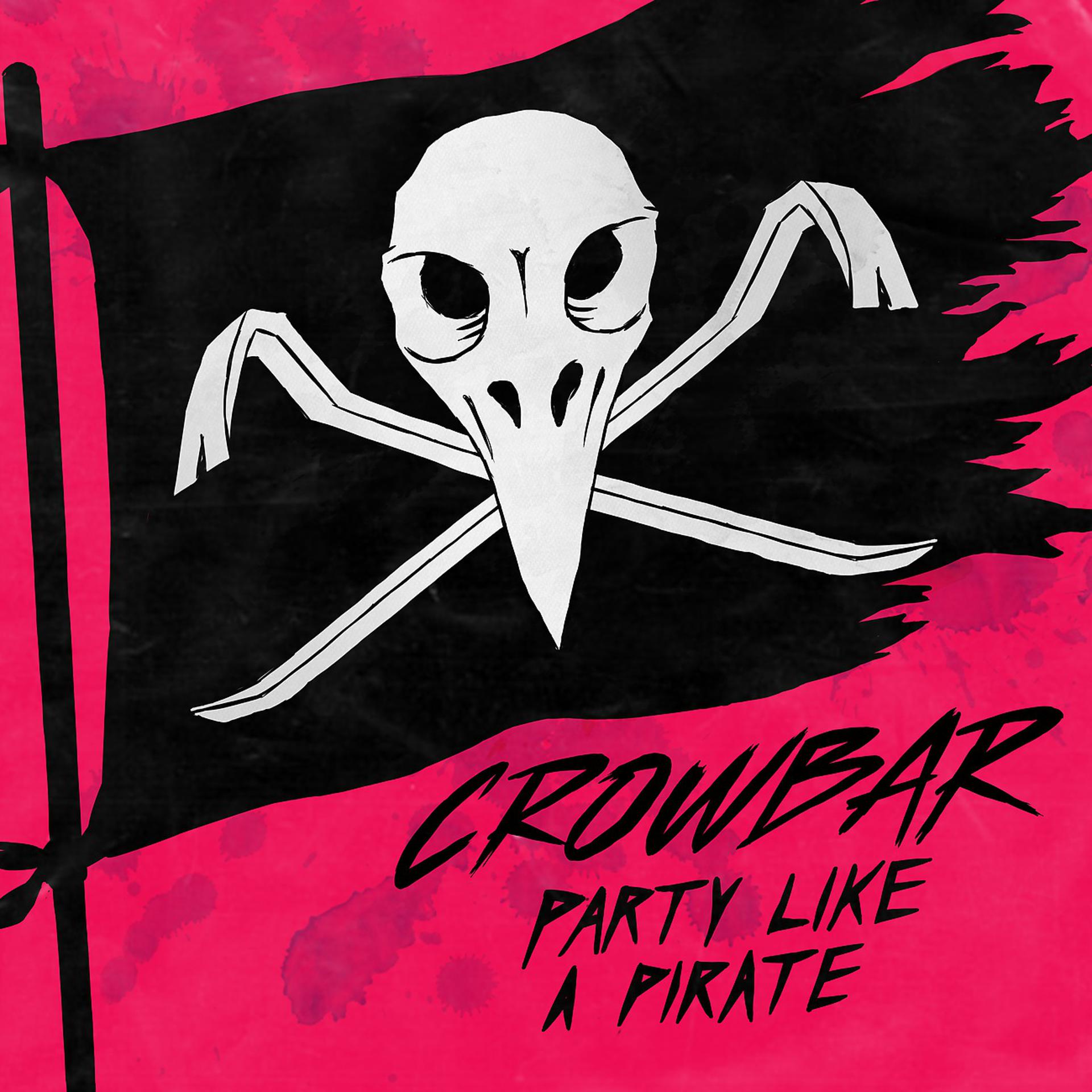 Постер альбома Party Like A Pirate