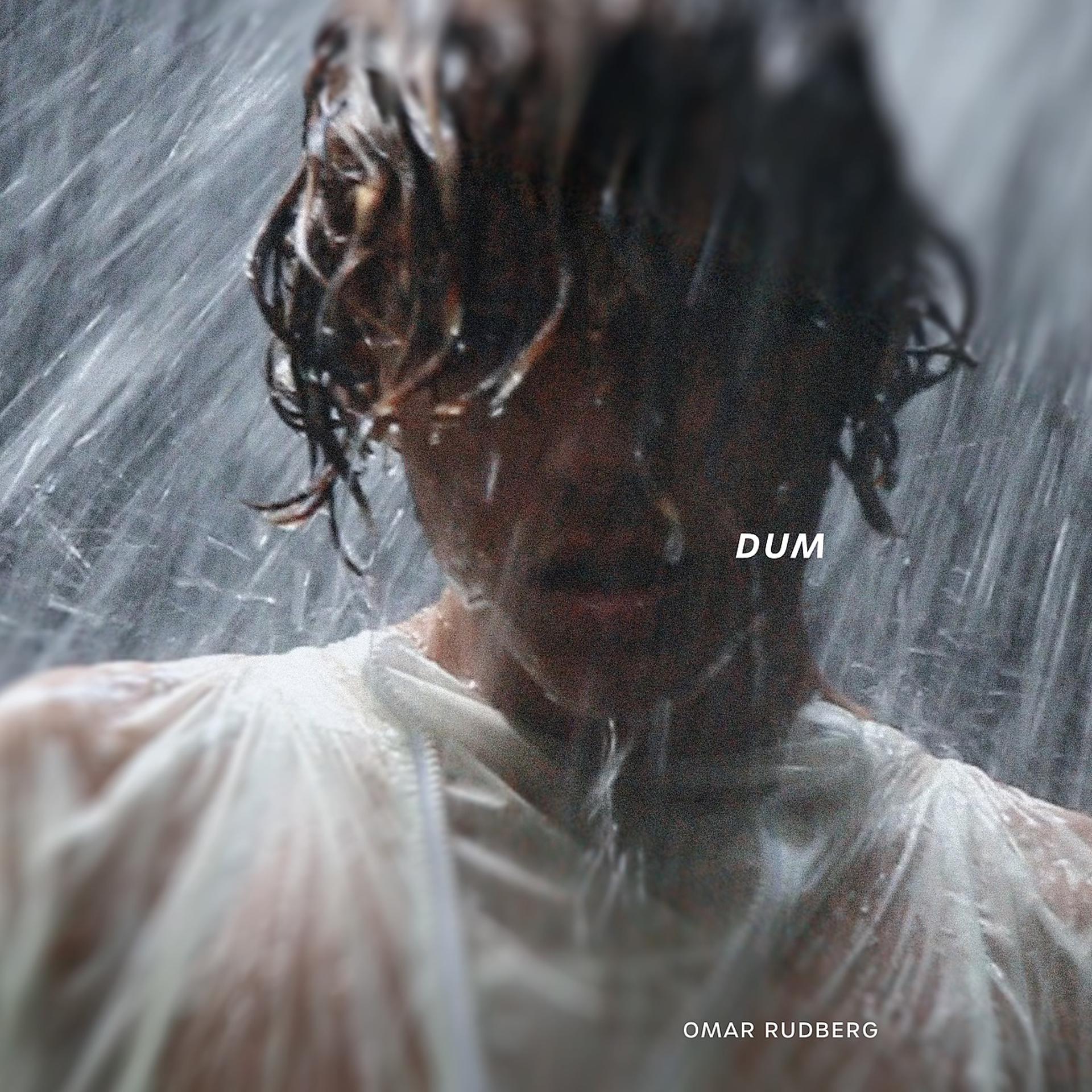 Постер альбома Dum
