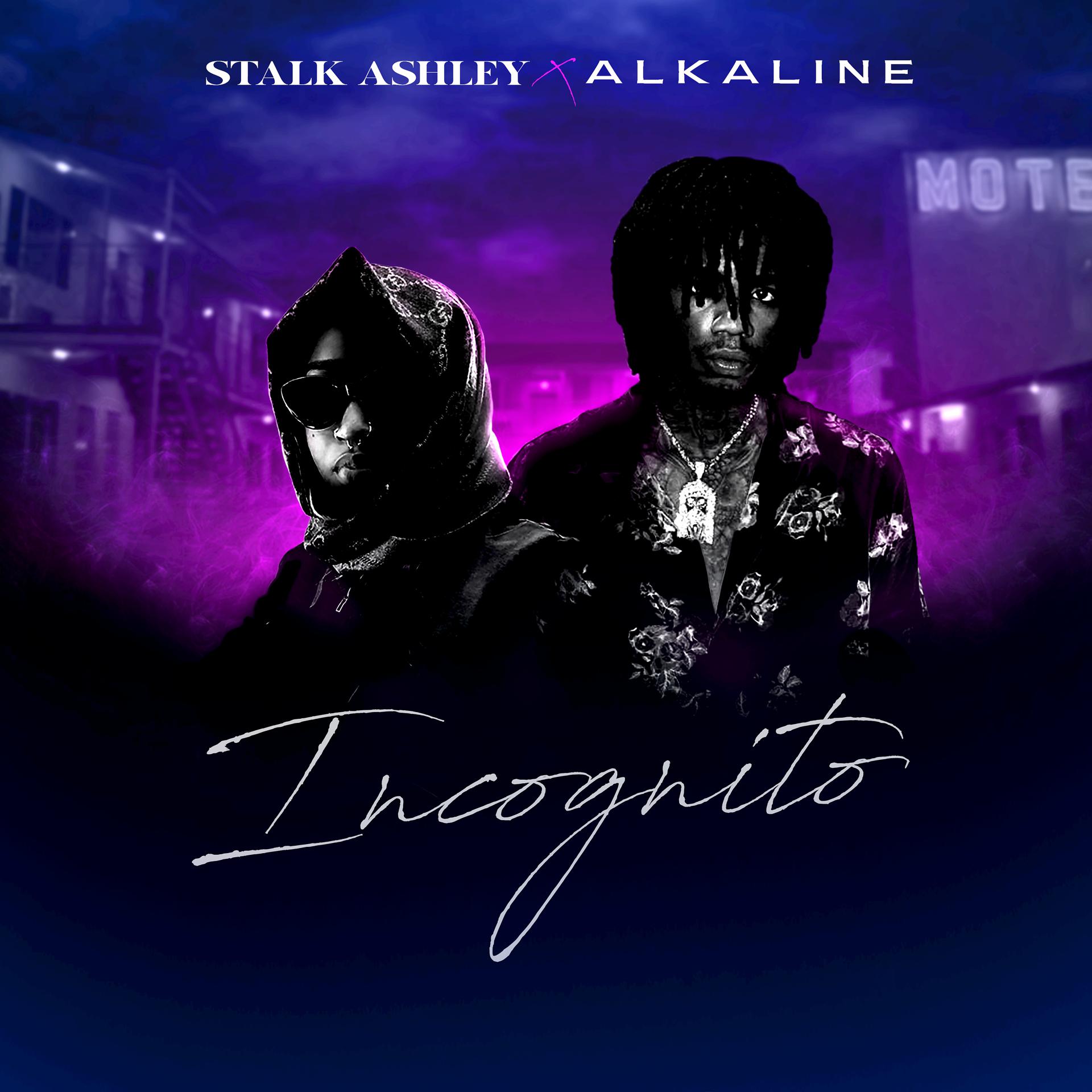 Постер альбома Incognito (feat. Alkaline)