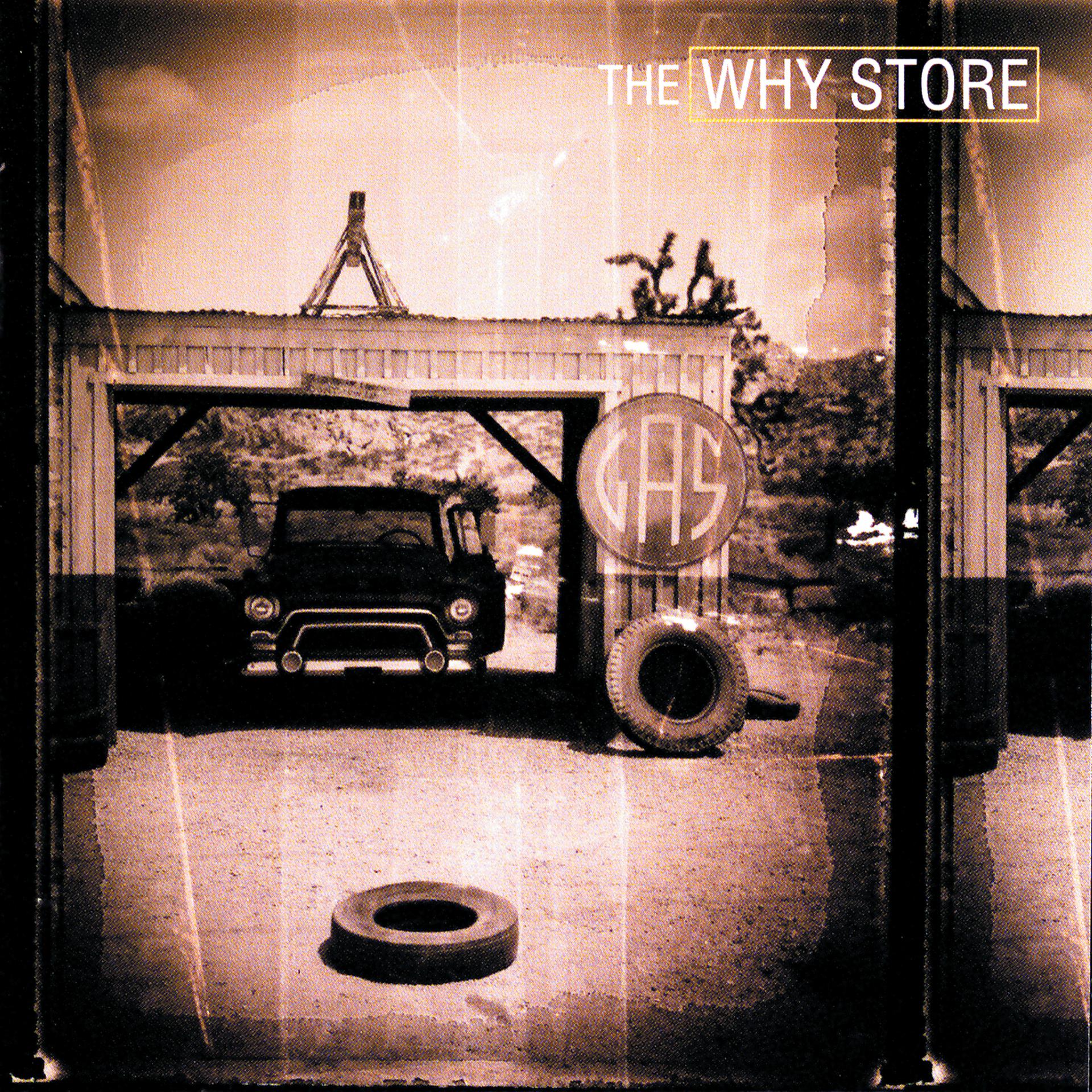 Постер альбома The Why Store