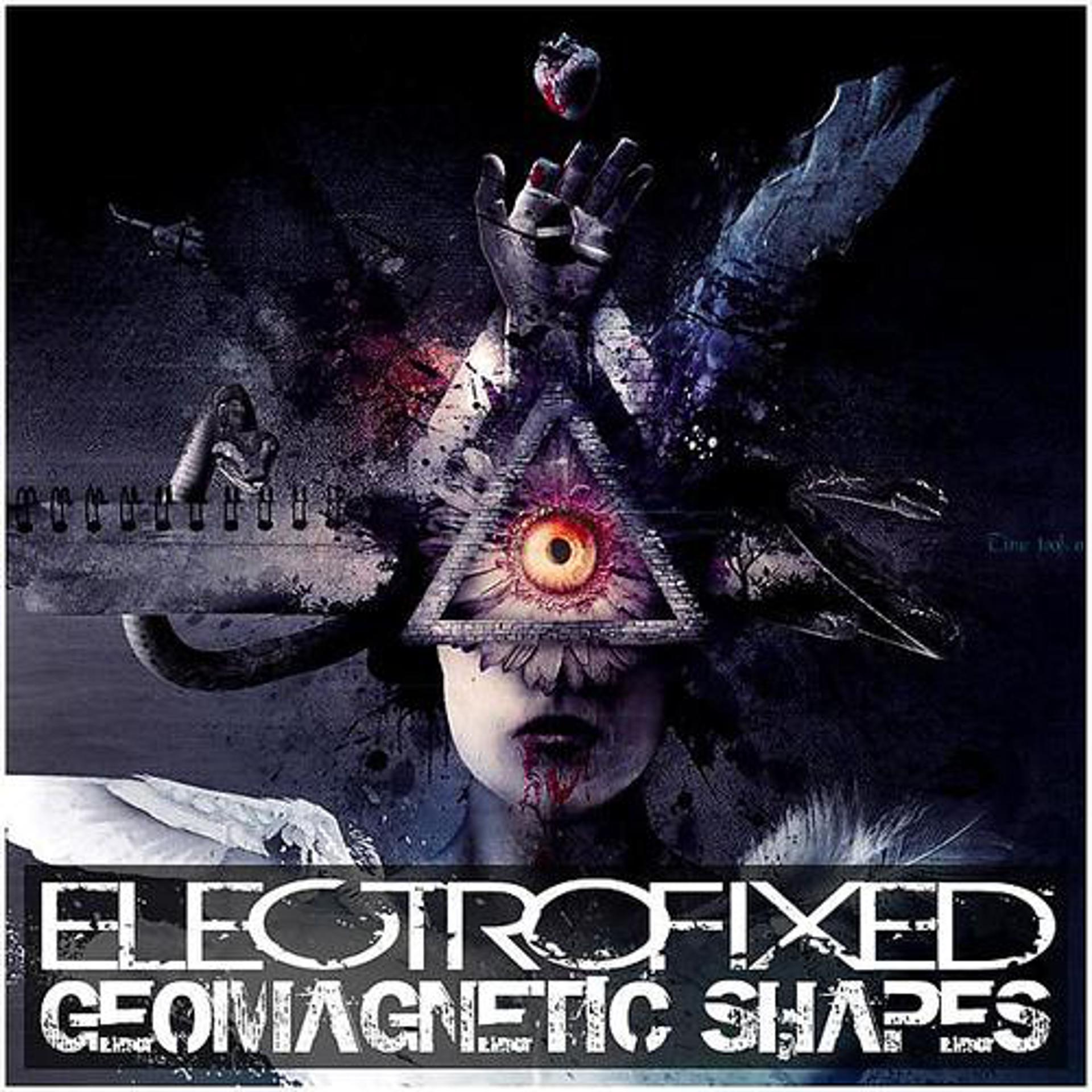Постер альбома Geomagnetic Shapes